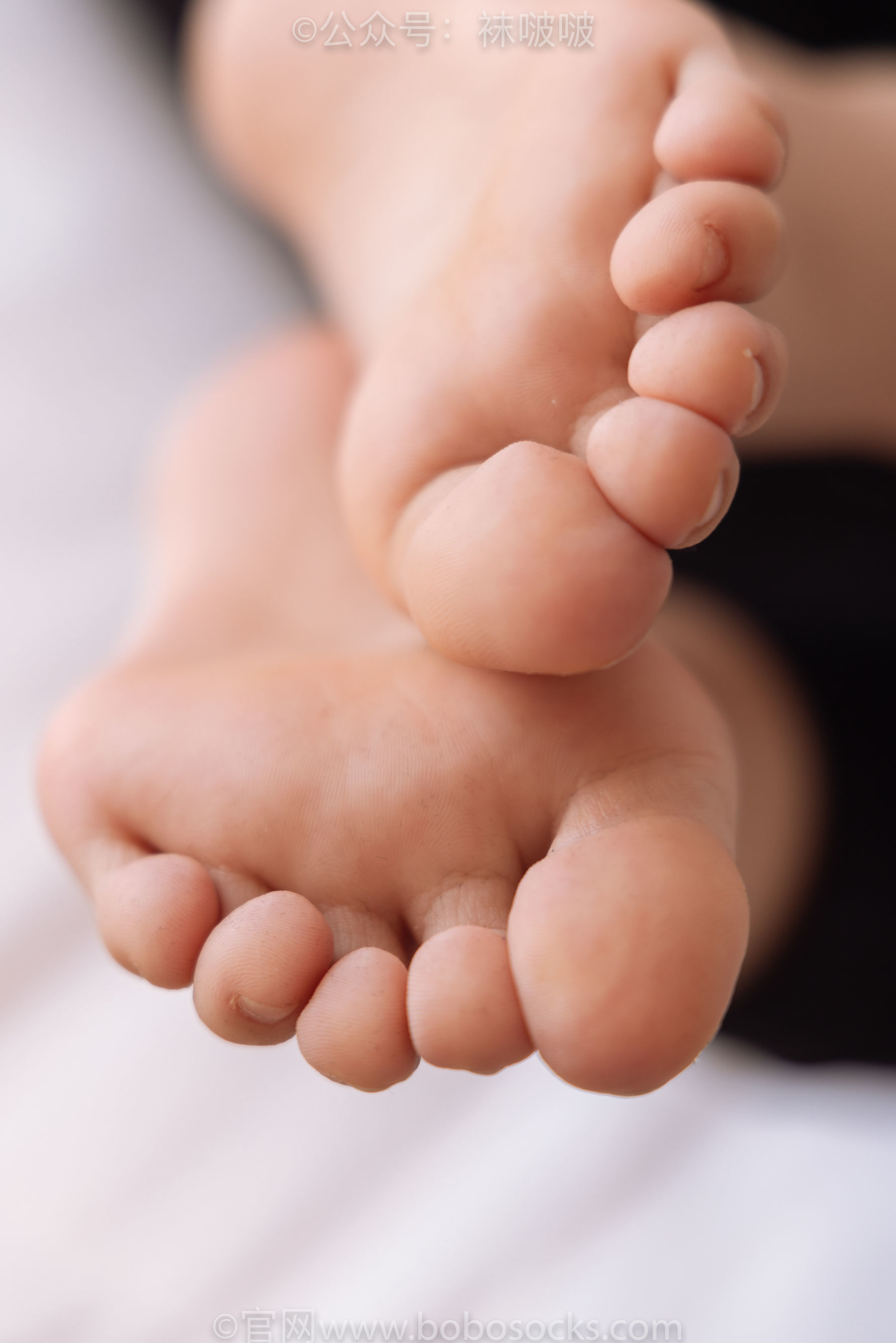 图片[121]-BoBoSocks袜啵啵 No.059 砂糖-AJ板鞋、白棉袜、裸足[142P]-六色网
