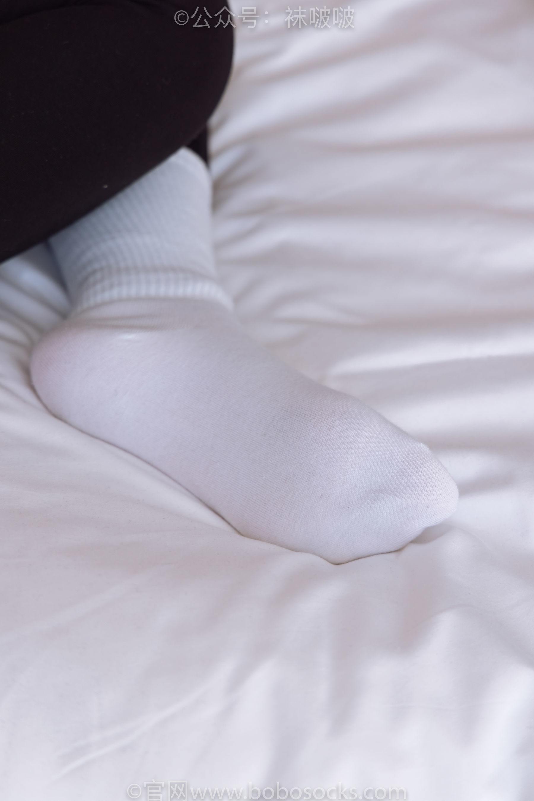 图片[49]-BoBoSocks袜啵啵 No.059 砂糖-AJ板鞋、白棉袜、裸足[142P]-六色网