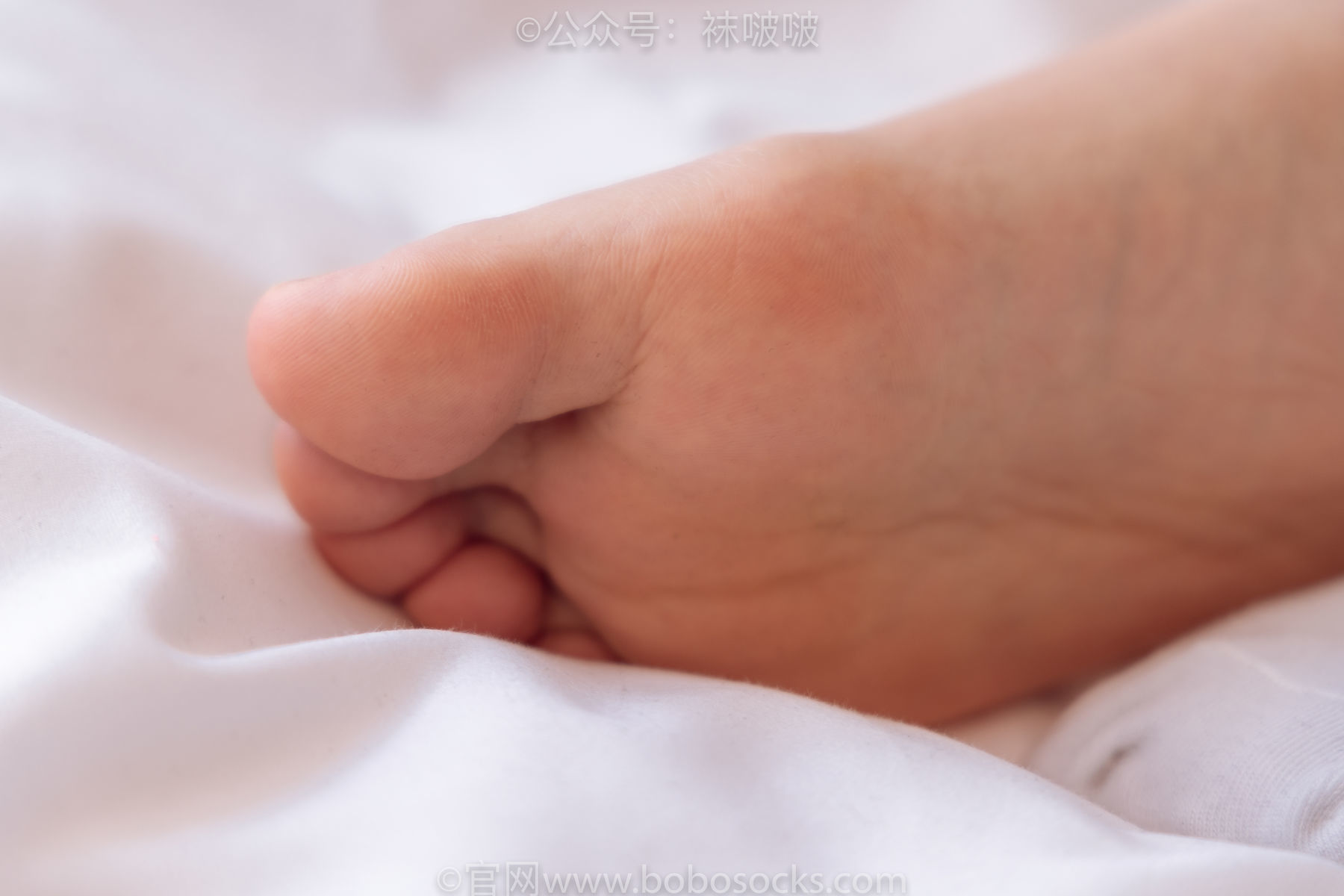 图片[89]-BoBoSocks袜啵啵 No.059 砂糖-AJ板鞋、白棉袜、裸足[142P]-六色网