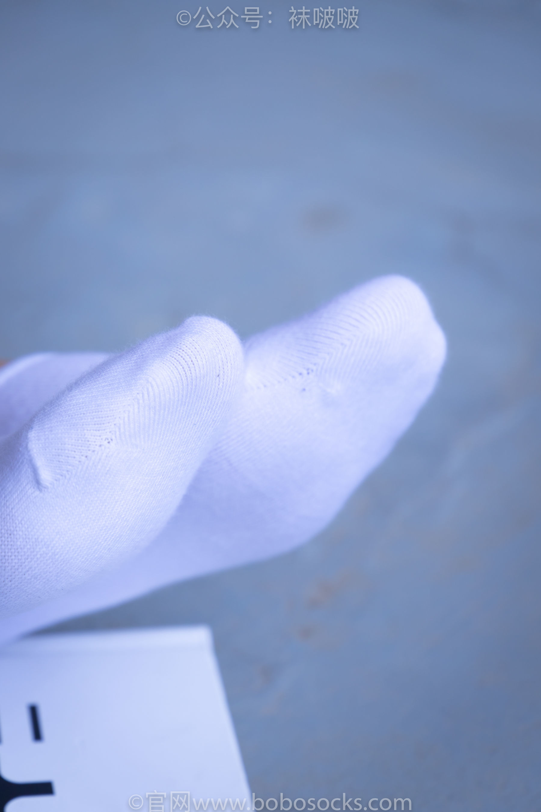 图片[61]-BoBoSocks袜啵啵 积分限定作品002 泡芙- AJ、白色棉质船袜、裸足[135P]-六色网