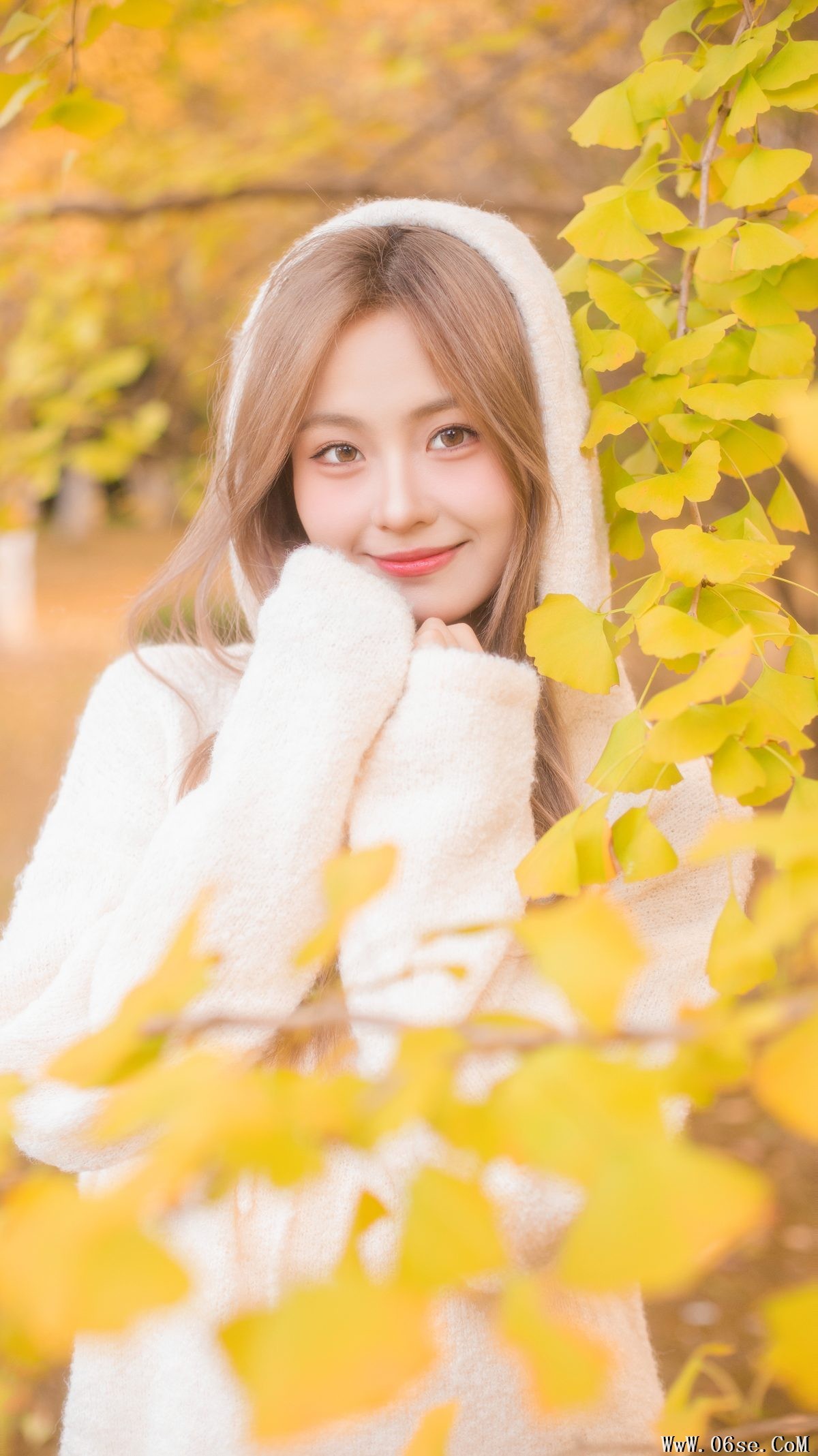图片[19]-YiTuYu艺图语 Vol.5840 Gao Li Dai[34P]-六色网