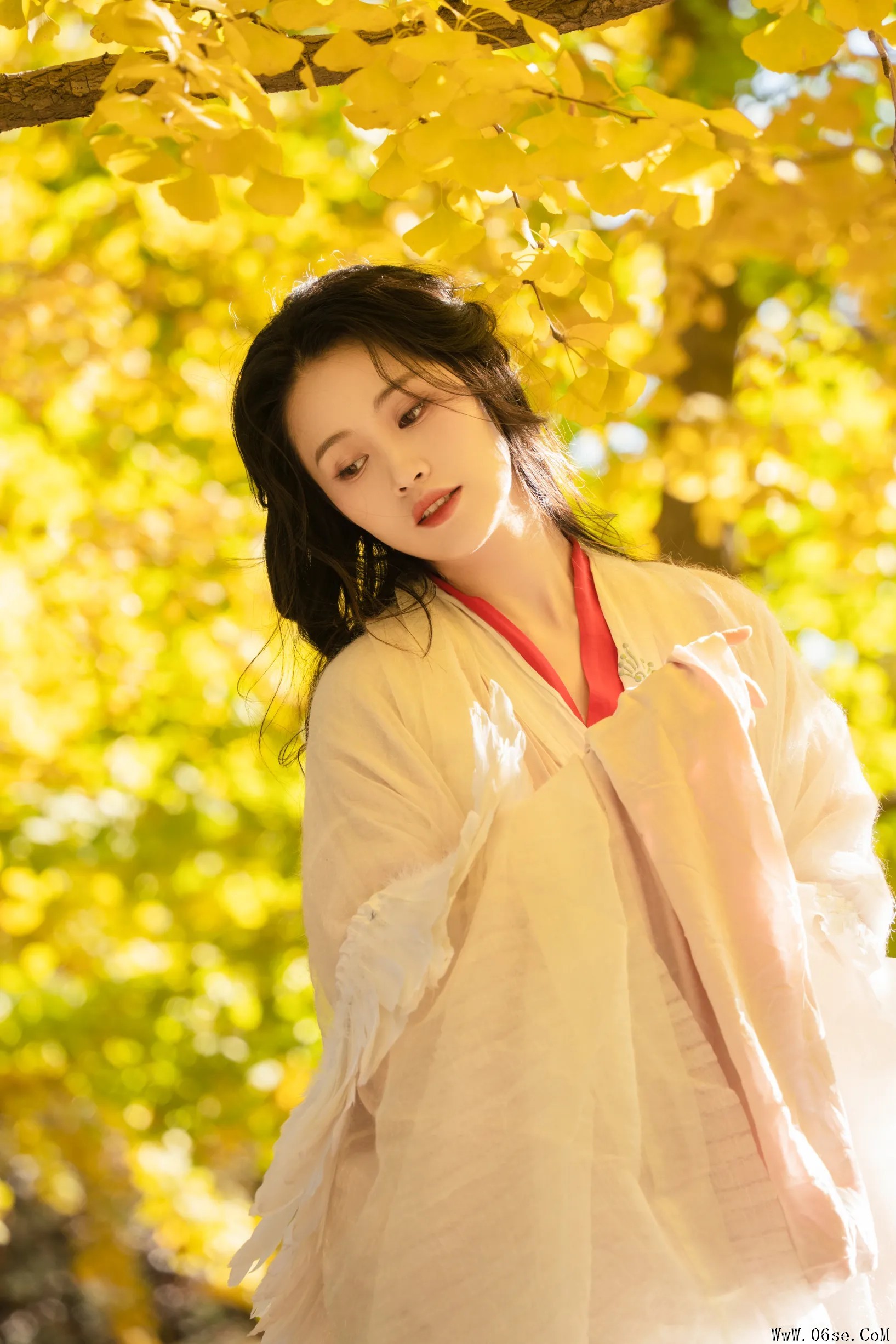 图片[12]-[艺图语]2022.11.30 Vol.2568 – 银杏 [26P]-六色网