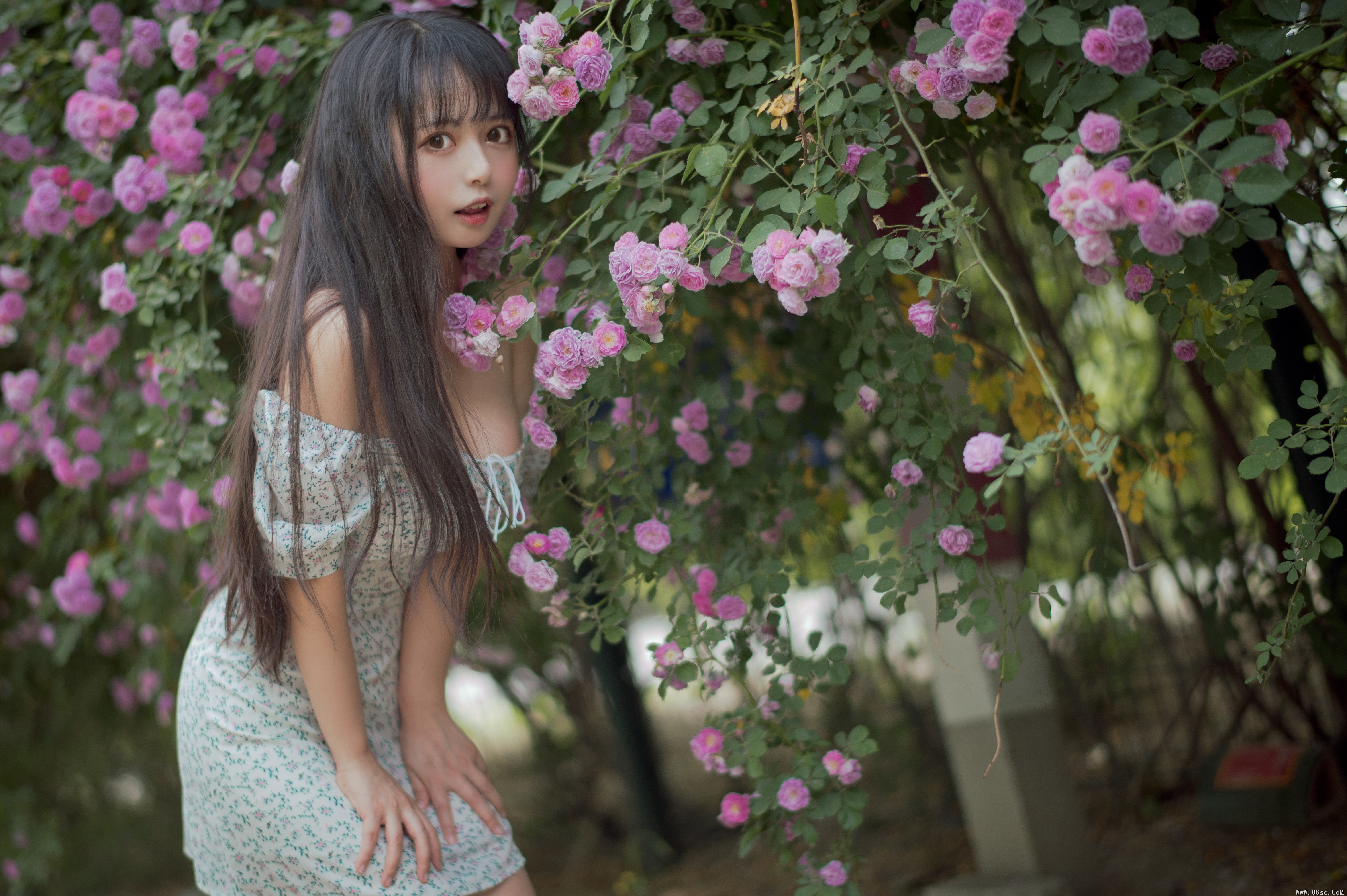 图片[15]-喵糖映画 VOL.338 蔷薇少女[24P／257MB]-六色网