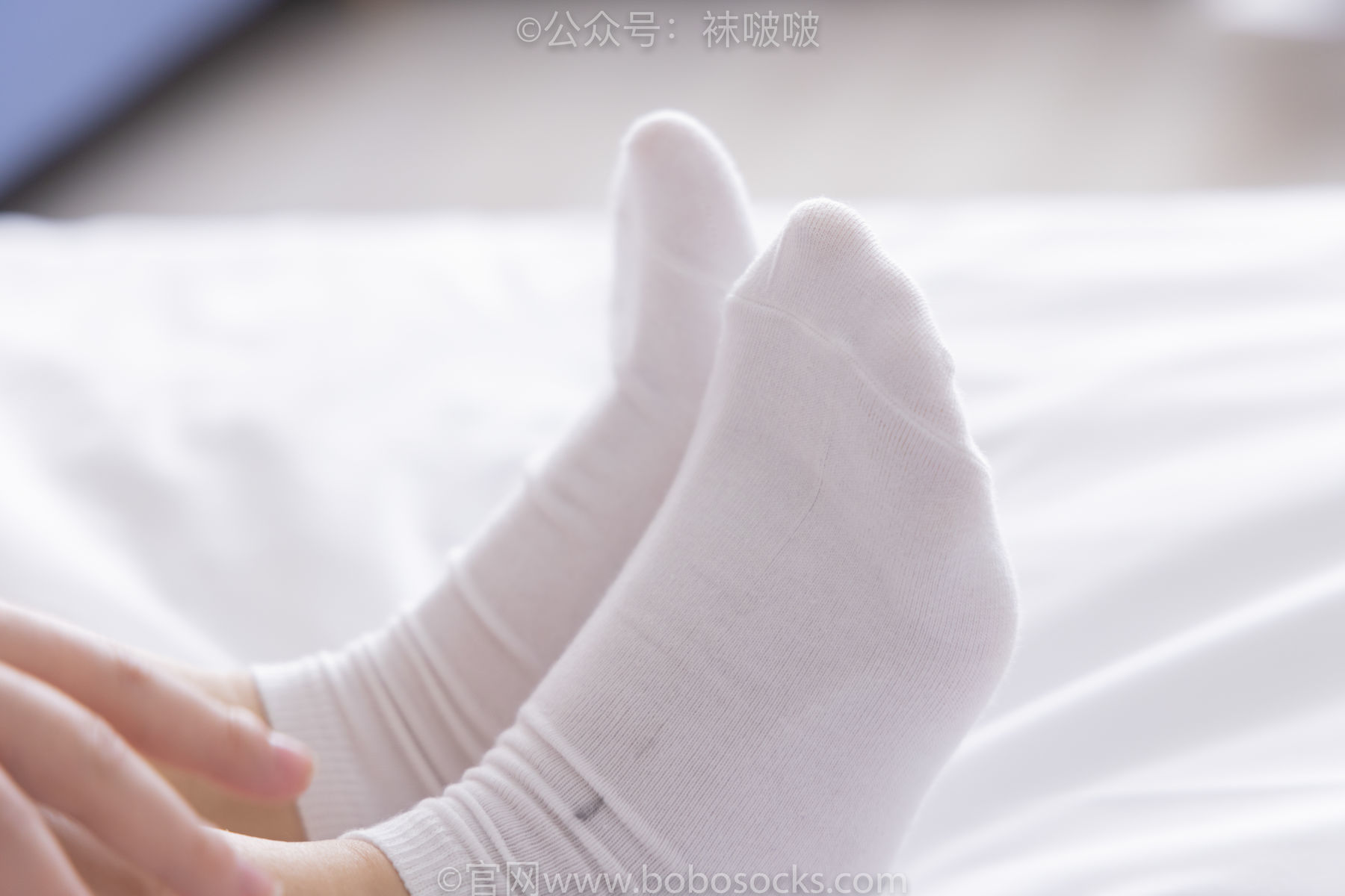 图片[69]-BoBoSocks袜啵啵 No.036 菠萝-帆布鞋、白棉袜、裸足[138P]-六色网