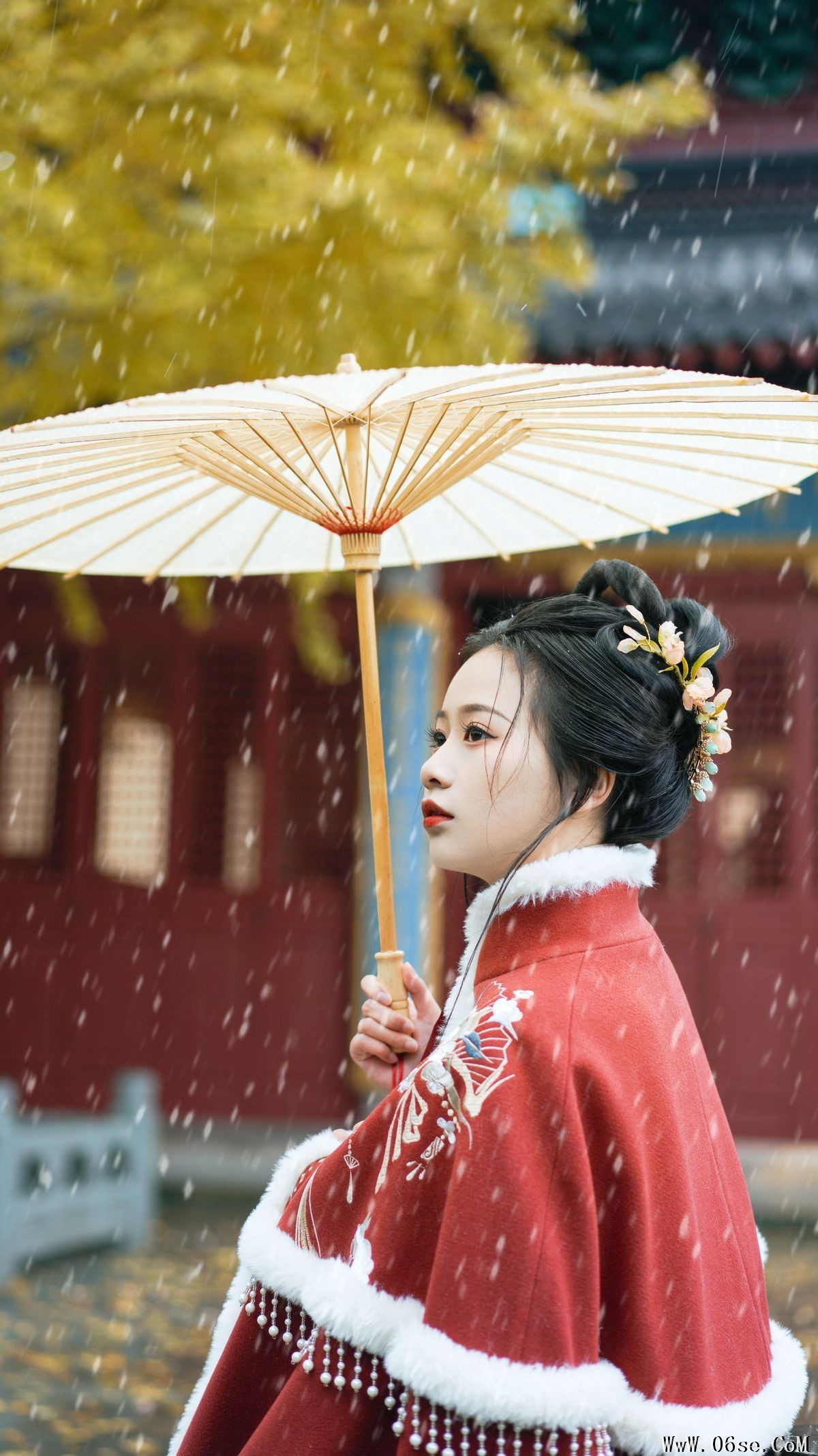 图片[15]-YiTuYu艺图语 Vol.3266 Wang Wang Xiao Xiao Shu[23P]-六色网