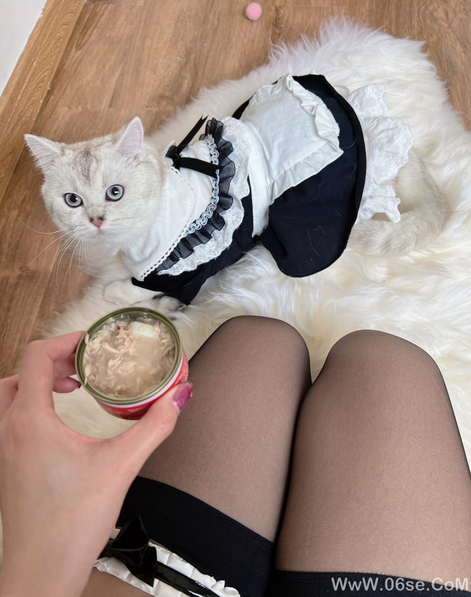 图片[15]-就是阿朱啊 – NO.028 陌生土豪[72P]-六色网