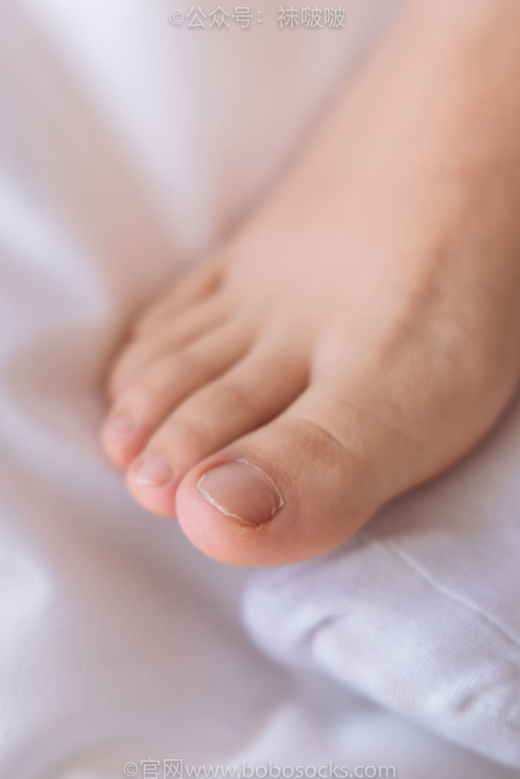 图片[93]-BoBoSocks袜啵啵 No.059 砂糖-AJ板鞋、白棉袜、裸足[142P]-六色网