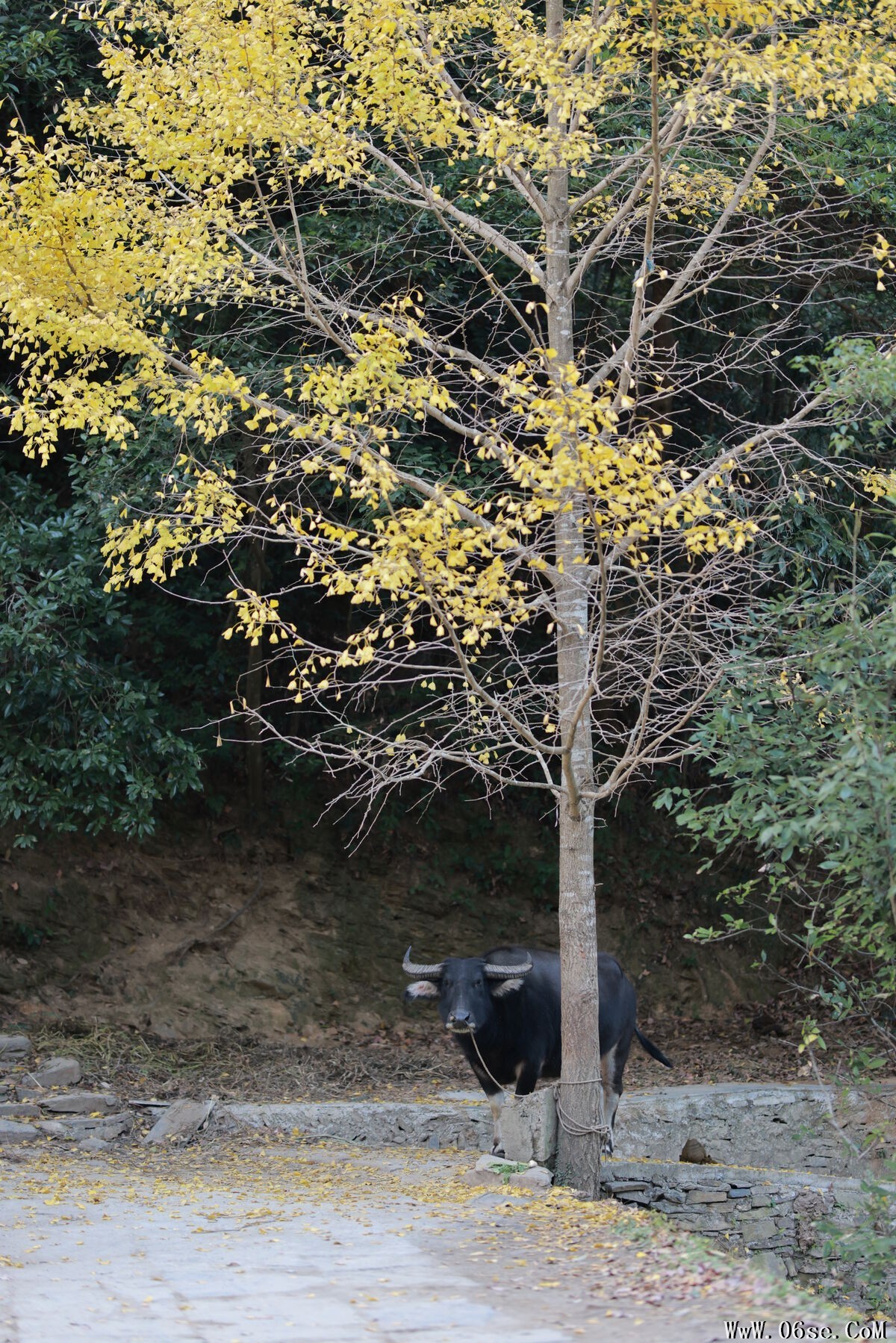 图片[18]-YiTuYu艺图语 Vol.7726 Hui Er Er Ya[21P]-六色网