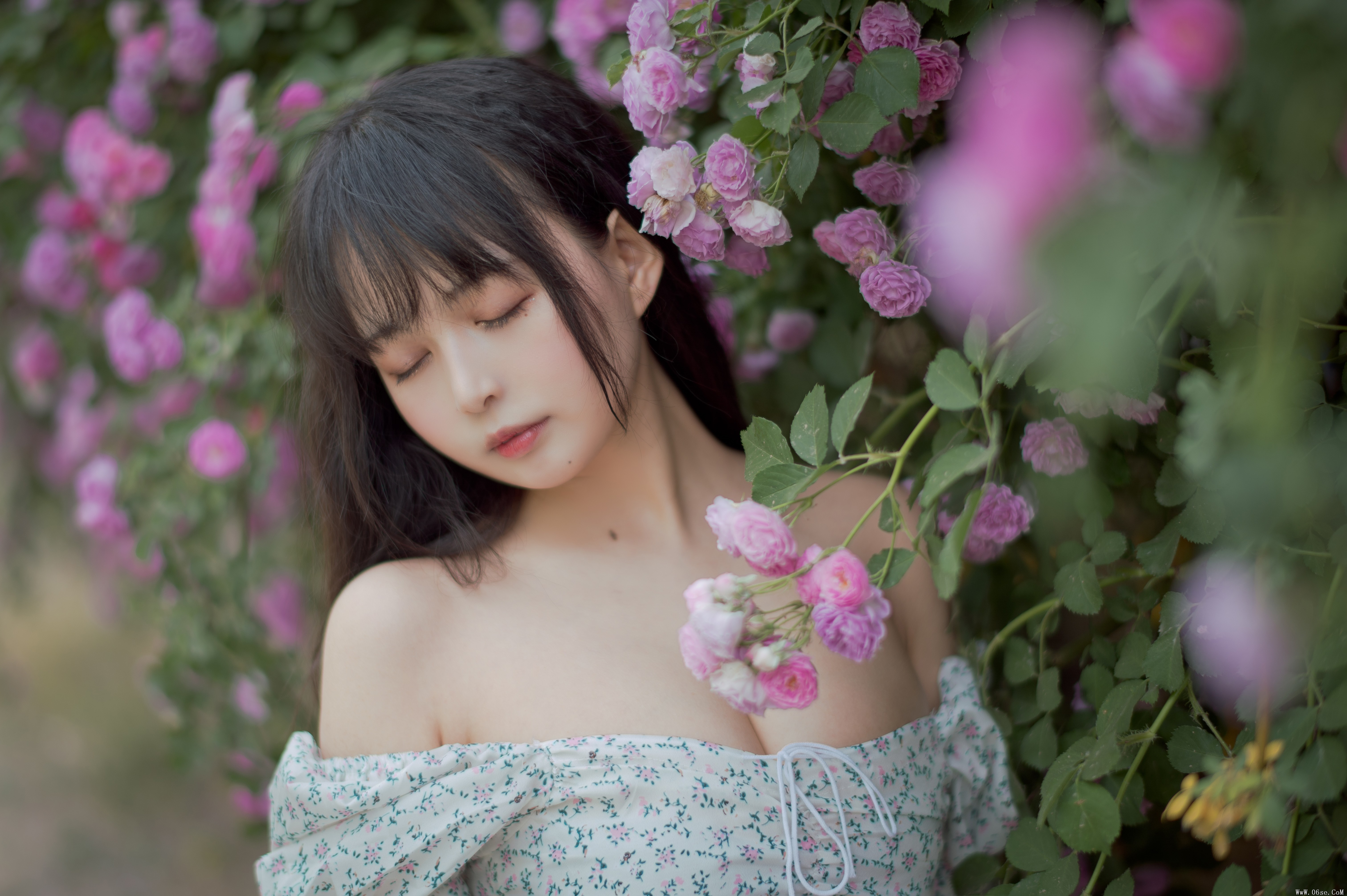 图片[12]-喵糖映画 VOL.338 蔷薇少女[24P／257MB]-六色网