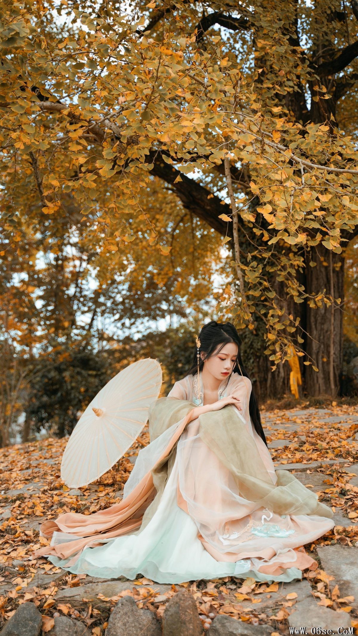 图片[24]-YiTuYu艺图语 Vol.3202 Wang Wang Xiao Xiao Shu[39P]-六色网