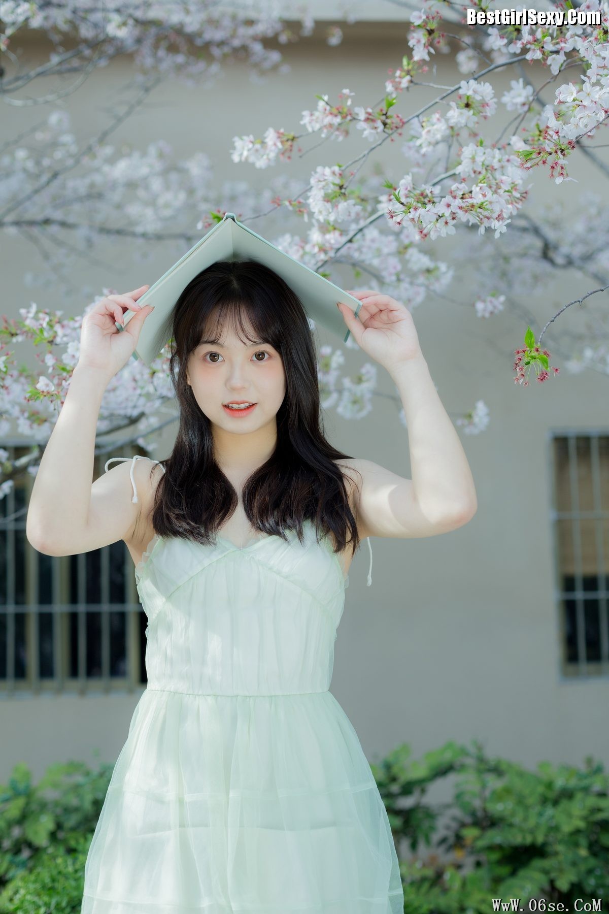 图片[29]-YiTuYu艺图语 Vol.4075 Ha Ji Ma Hua[34P]-六色网