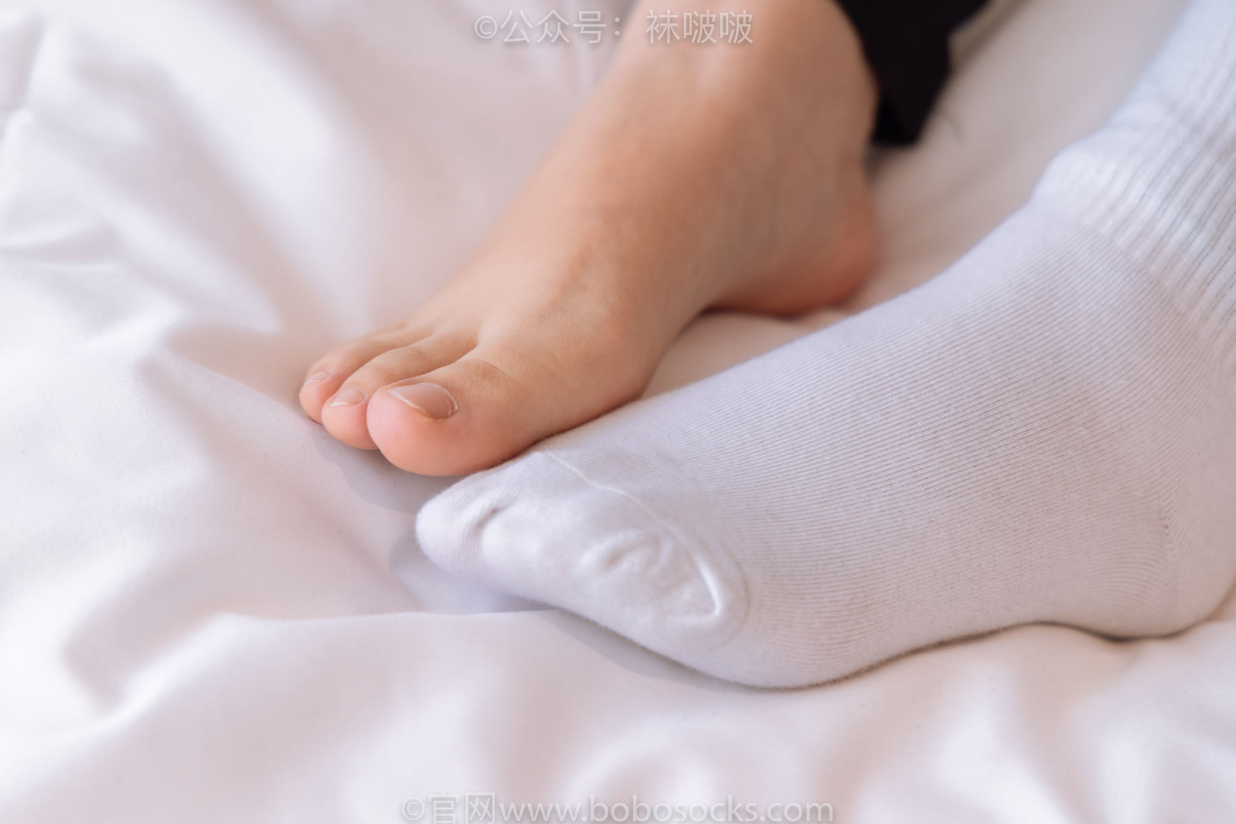 图片[94]-BoBoSocks袜啵啵 No.059 砂糖-AJ板鞋、白棉袜、裸足[142P]-六色网