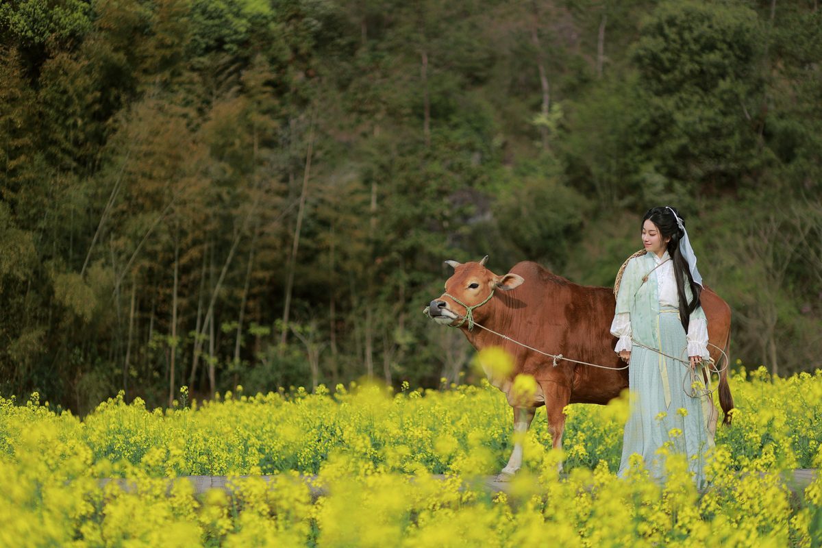 图片[21]-YiTuYu艺图语 Vol.3659 Xiao Qing Han Ya[23P]-六色网