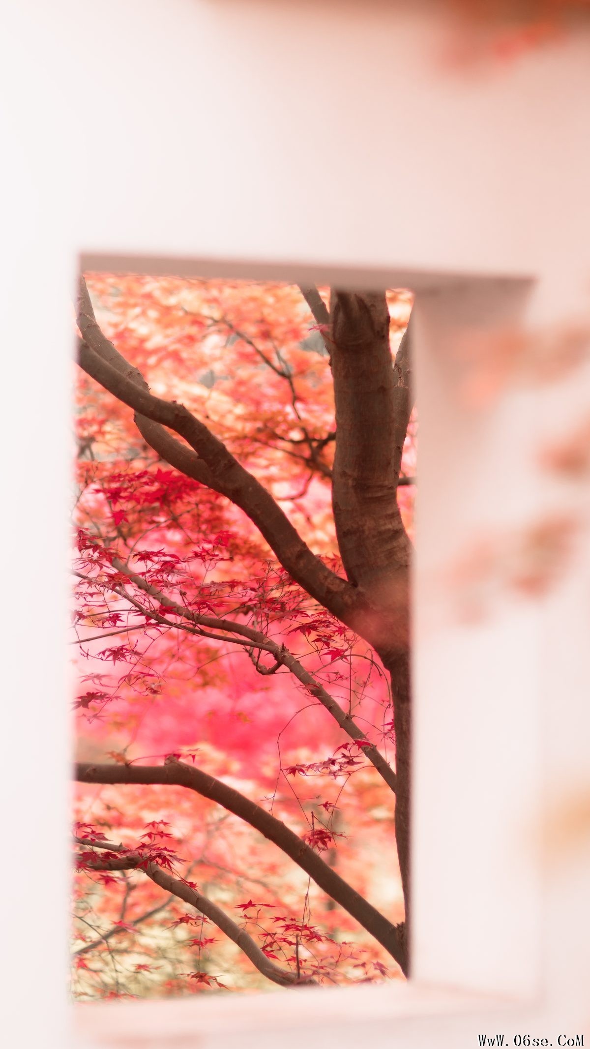 图片[13]-YiTuYu艺图语 Vol.4189 Su Su[55P]-六色网