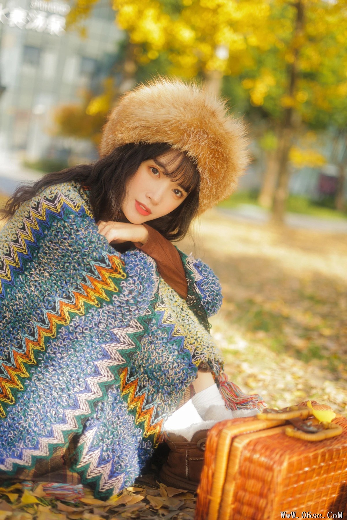 图片[17]-[艺图语]2023.01.12 Vol.2901 银杏不负秋 [45P]-六色网