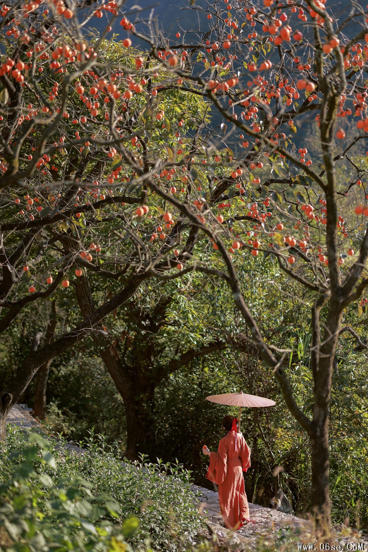 图片[15]-YiTuYu艺图语 Vol.7752 Xiao Shang Guan[20P]-六色网