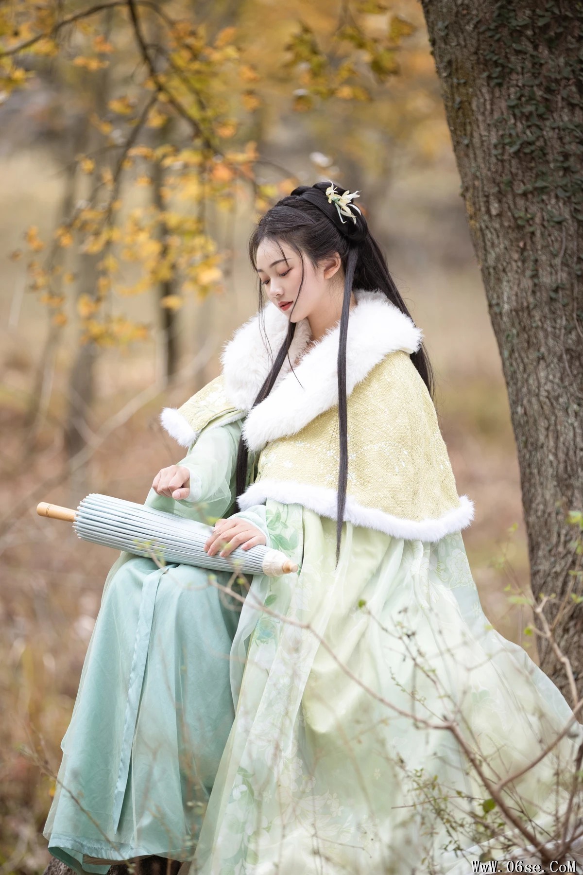 图片[23]-[艺图语]2023.02.05 Vol.2972 枫 [25P]-六色网