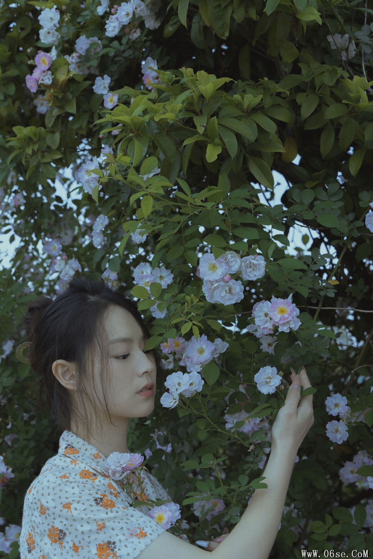 图片[7]-YiTuYu艺图语 Vol.7024 77[29P]-六色网