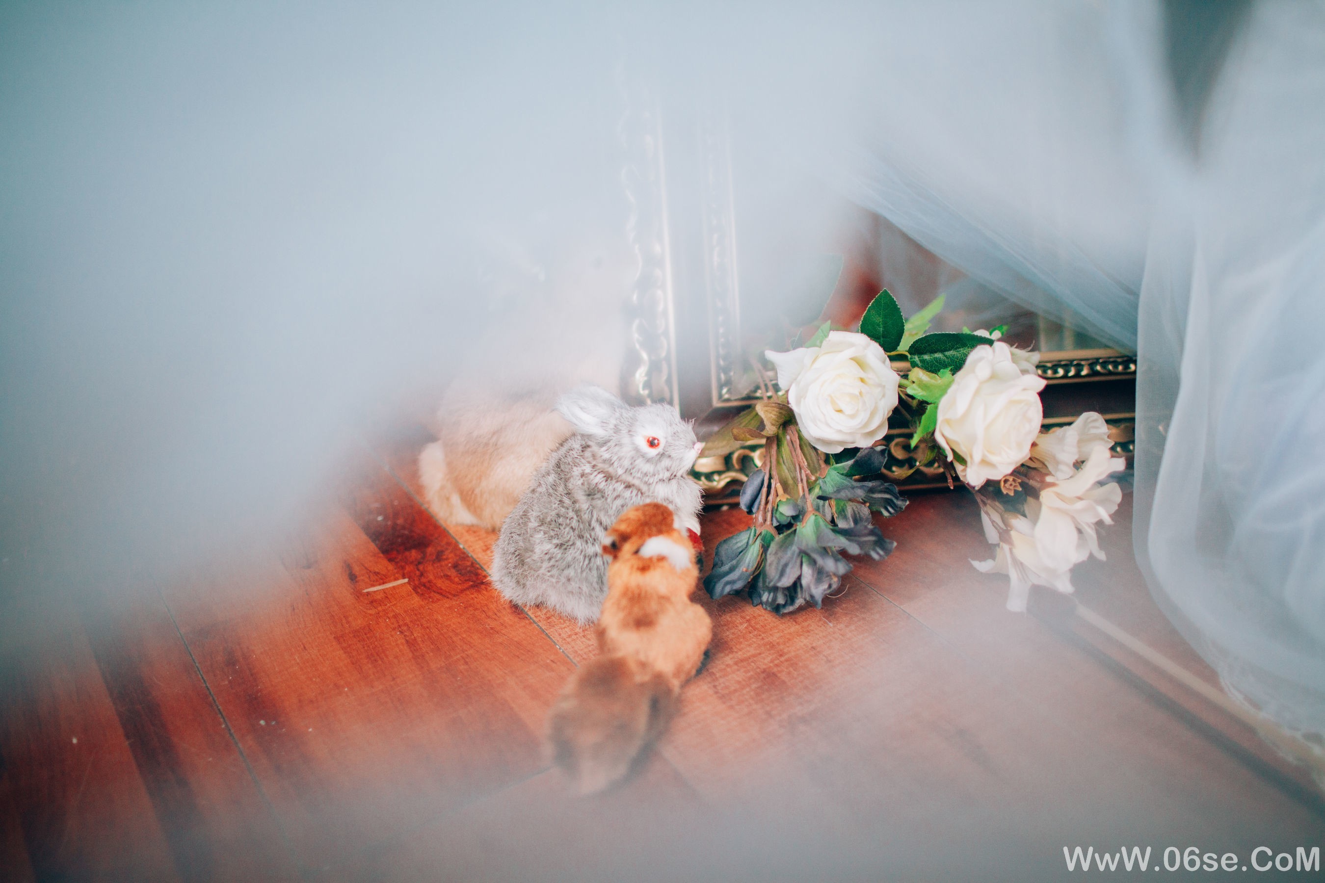 图片[8]-可爱妹妹樱群 纱[19P]-六色网