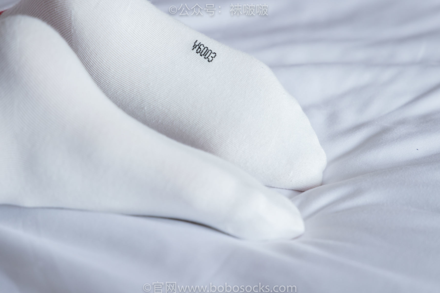 图片[69]-BoBoSocks袜啵啵 积分限定作品004 熊熊-板鞋、白棉袜、白丝[139P]-六色网