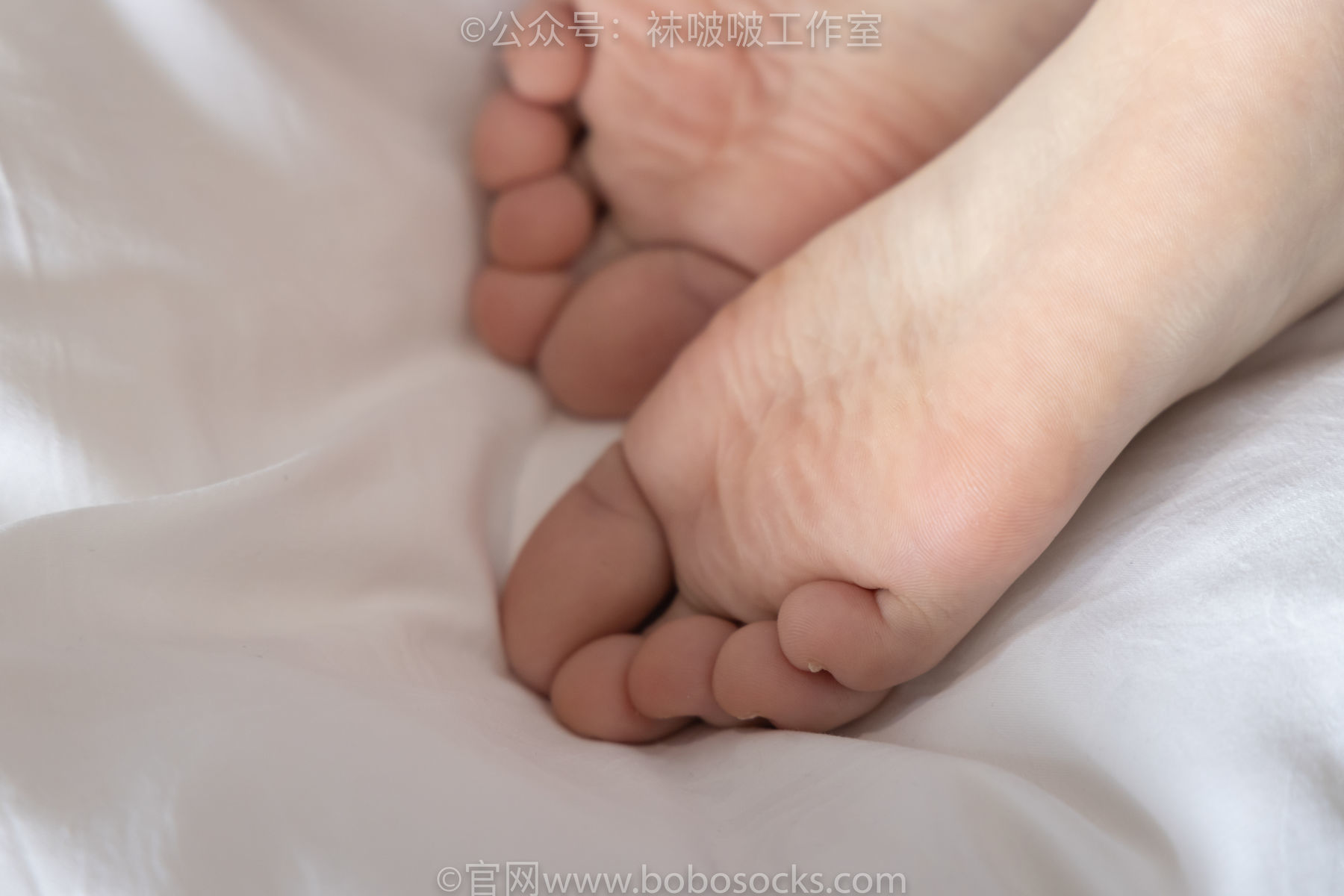 图片[129]-BoBoSocks袜啵啵 积分限定作品007 熊熊-运动鞋、白棉袜、裸足[134P]-六色网