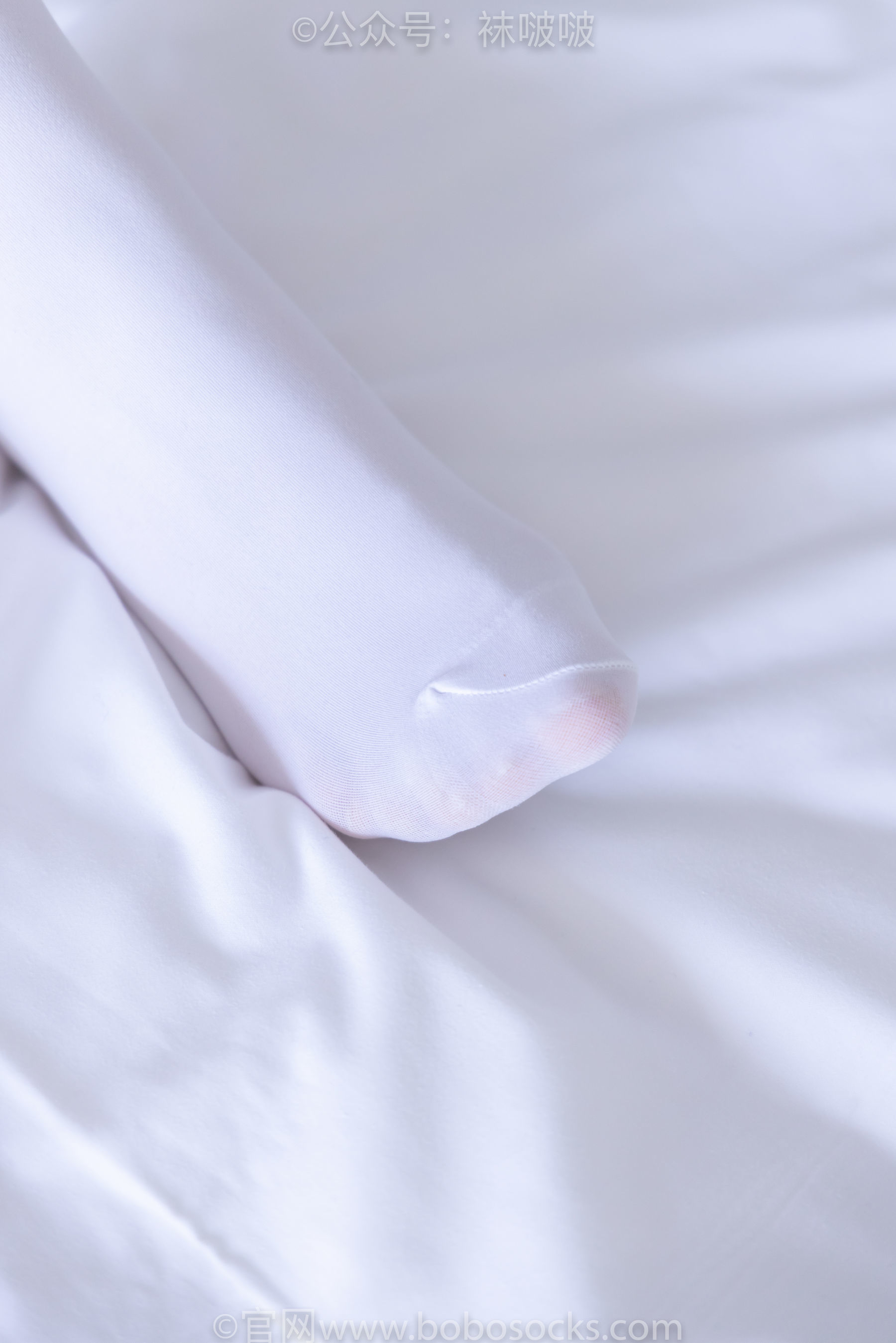 图片[99]-BoBoSocks袜啵啵 No.079 砂糖-皮鞋、厚白丝[140P]-六色网