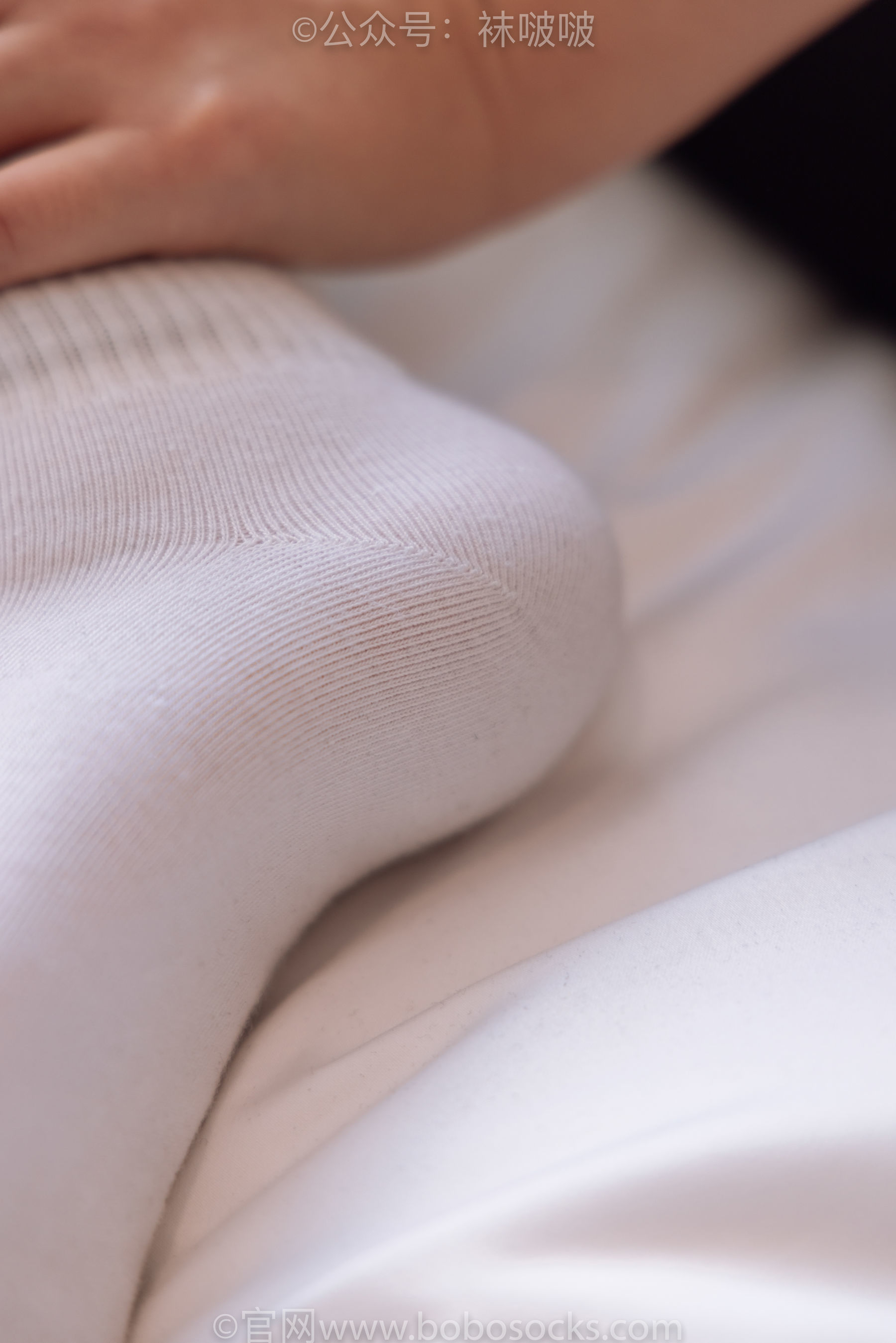 图片[64]-BoBoSocks袜啵啵 No.059 砂糖-AJ板鞋、白棉袜、裸足[142P]-六色网