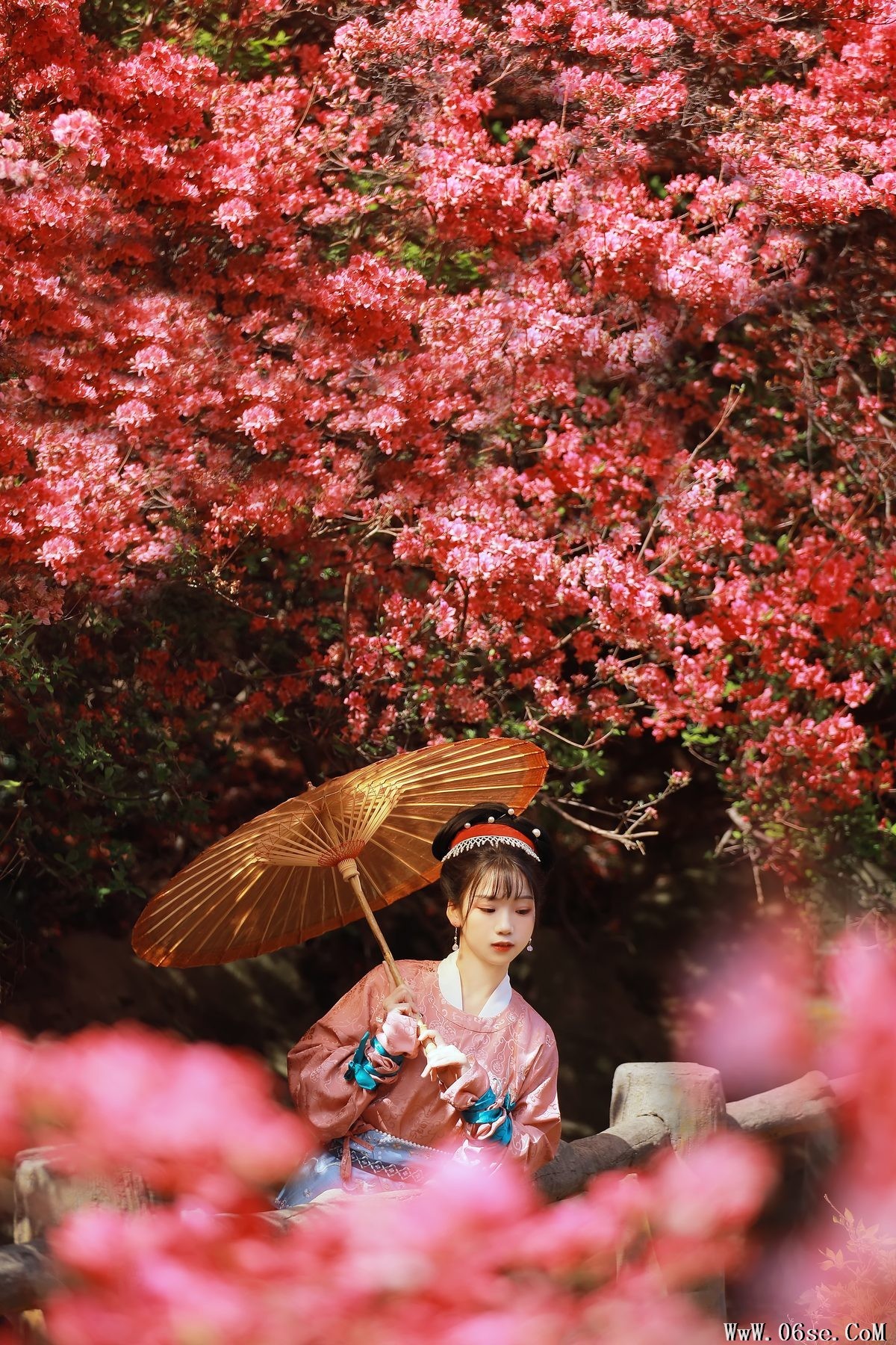 图片[11]-YiTuYu艺图语 Vol.6258 Zhou Zhou AY[26P]-六色网