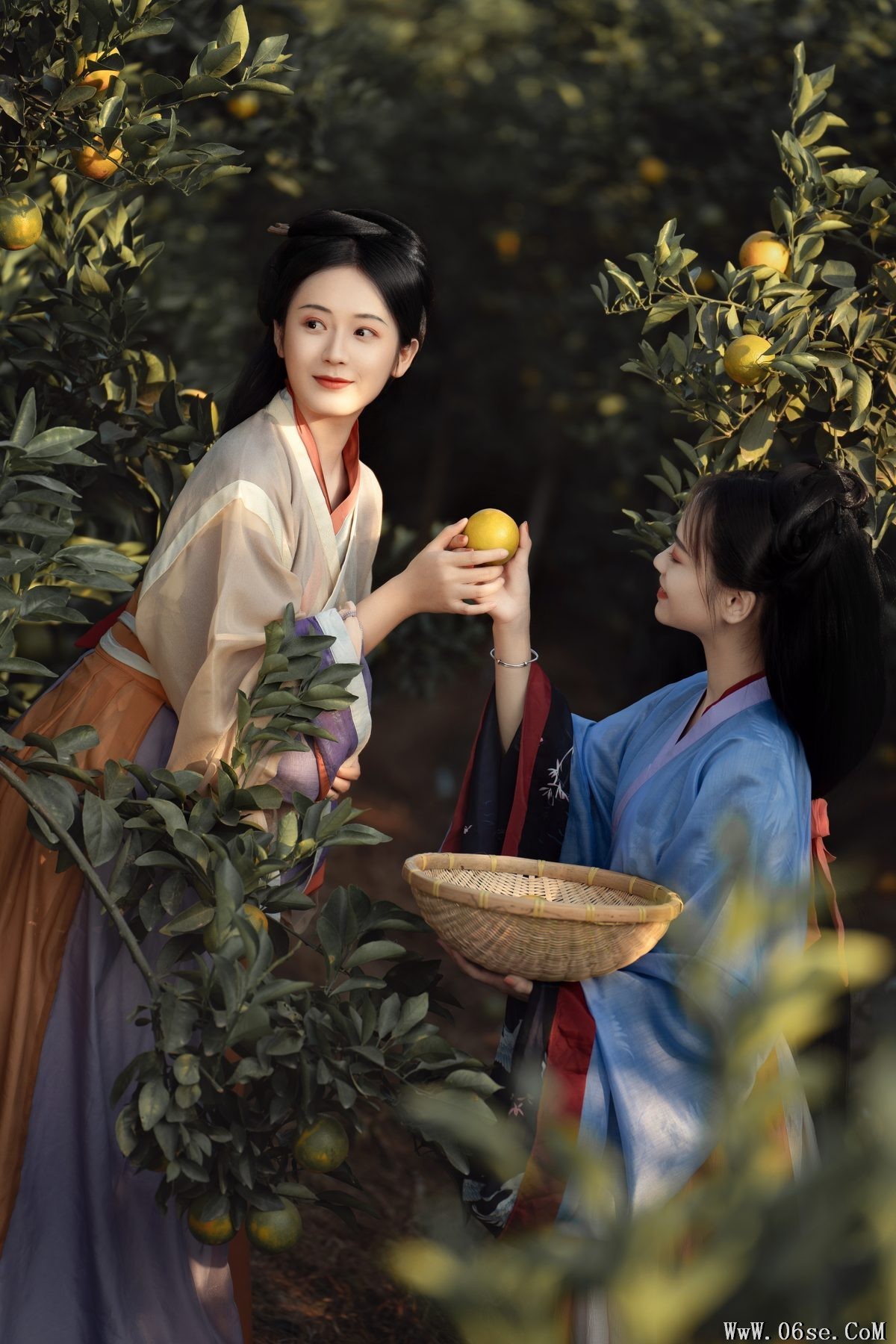 图片[6]-YiTuYu艺图语 Vol.4482 Shu Pian[23P]-六色网