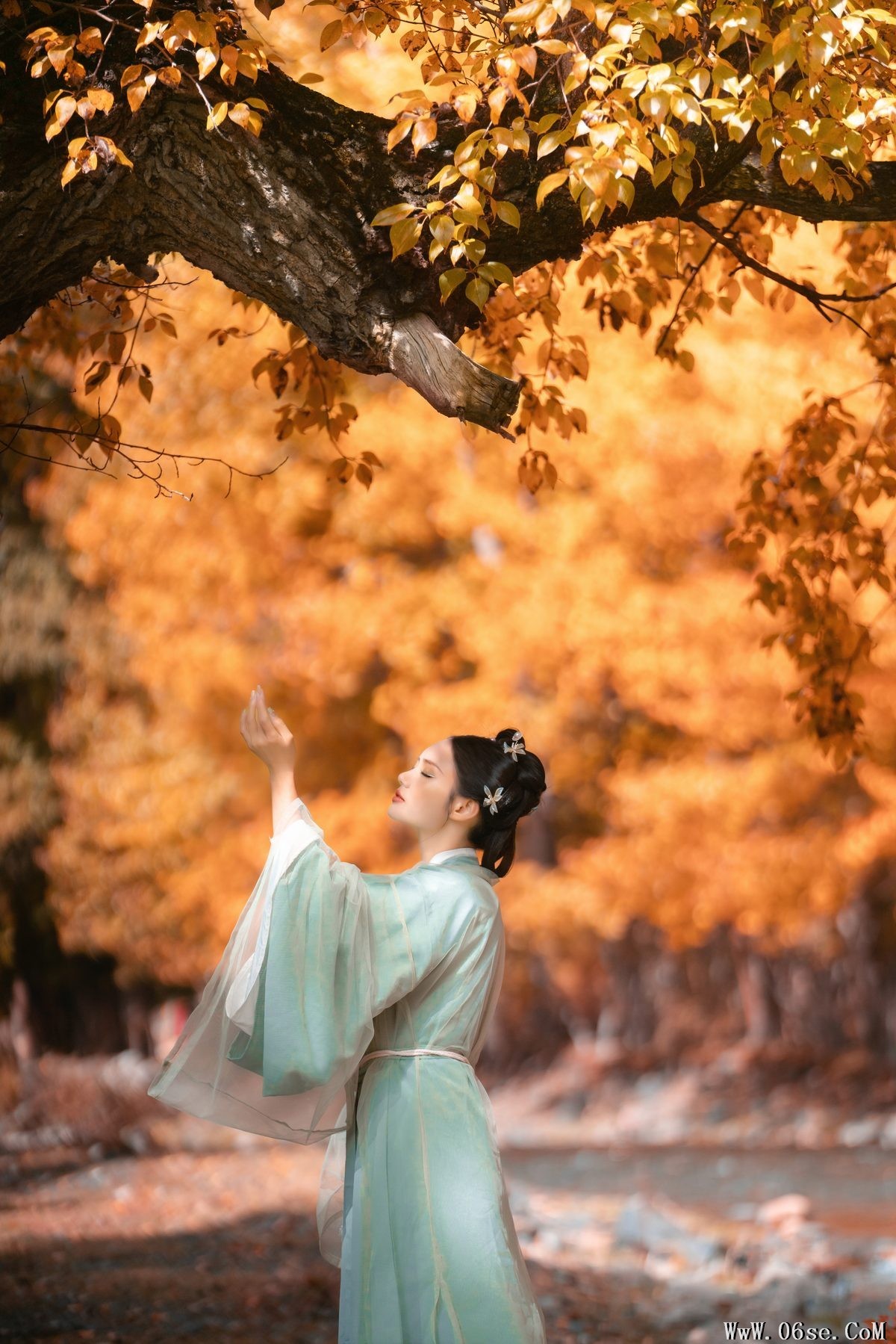 图片[24]-YiTuYu艺图语 Vol.3545 Xie A Ling[29P]-六色网