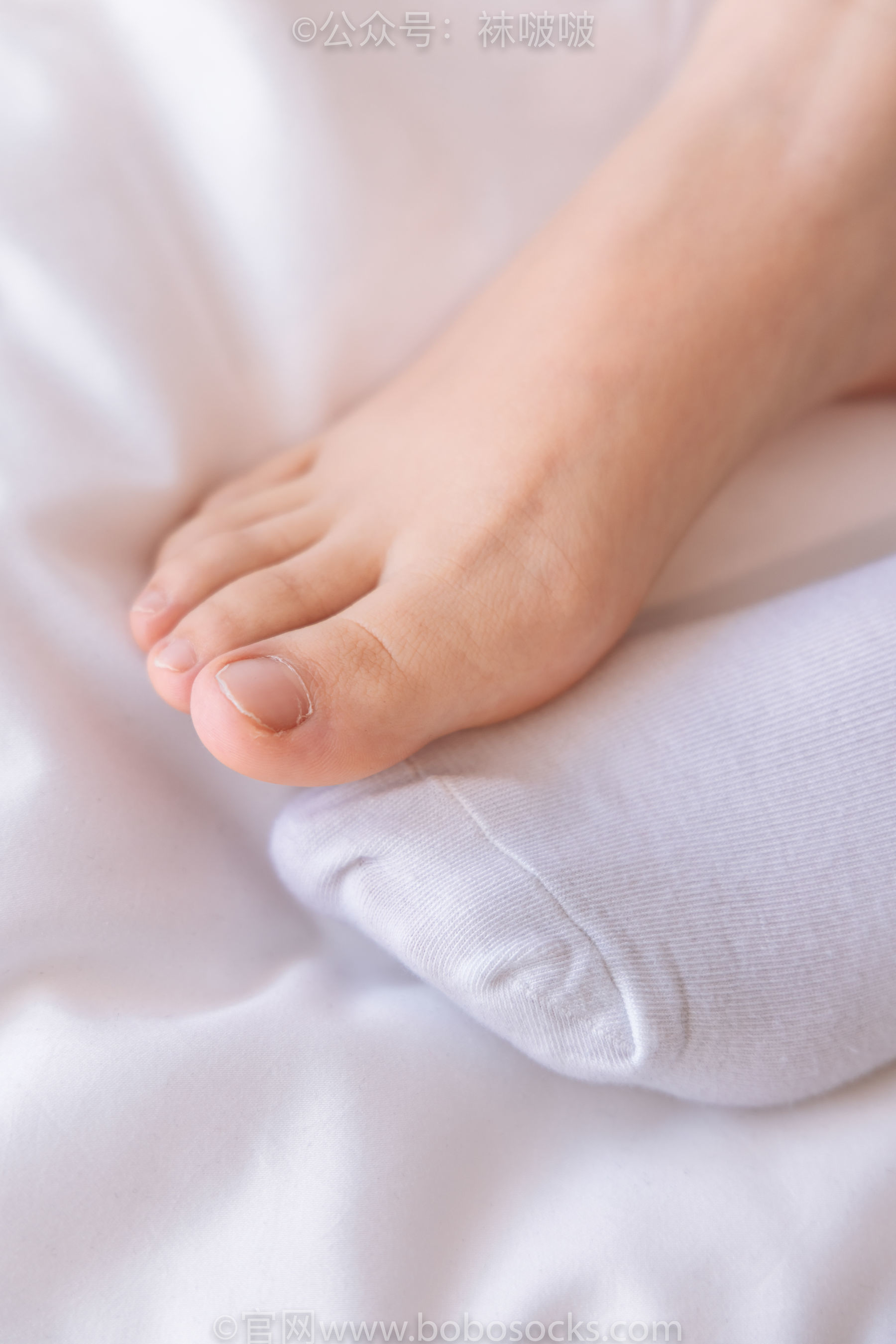 图片[92]-BoBoSocks袜啵啵 No.059 砂糖-AJ板鞋、白棉袜、裸足[142P]-六色网