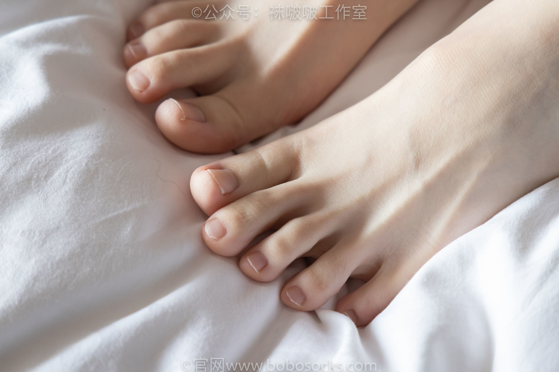 图片[100]-BoBoSocks袜啵啵 积分限定作品007 熊熊-运动鞋、白棉袜、裸足[134P]-六色网