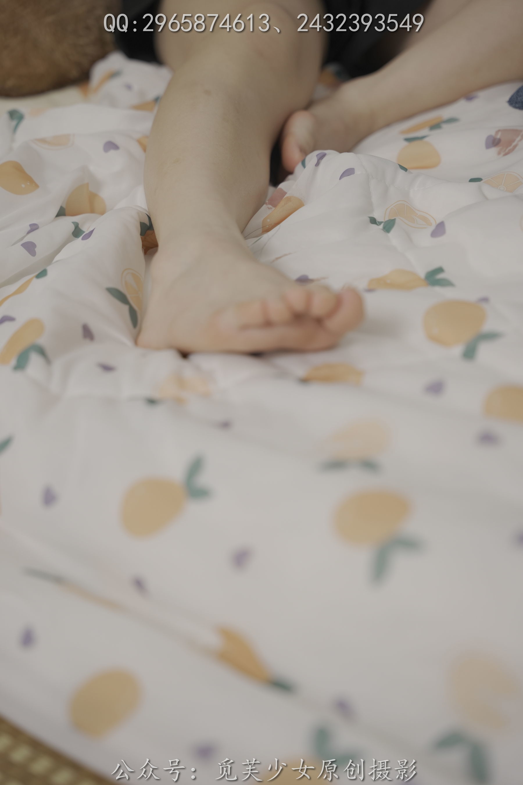 图片[18]-[觅芙少女] NO.052 倩儿 – 总有人山高路远，为你而来[149P]-六色网