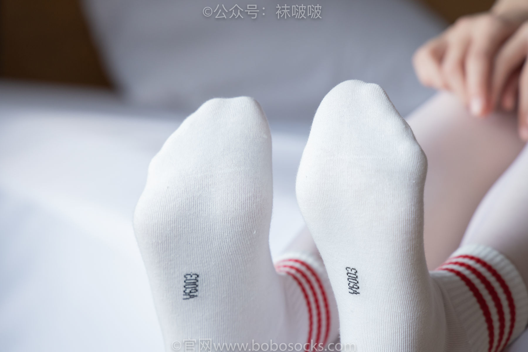 图片[47]-BoBoSocks袜啵啵 积分限定作品004 熊熊-板鞋、白棉袜、白丝[139P]-六色网