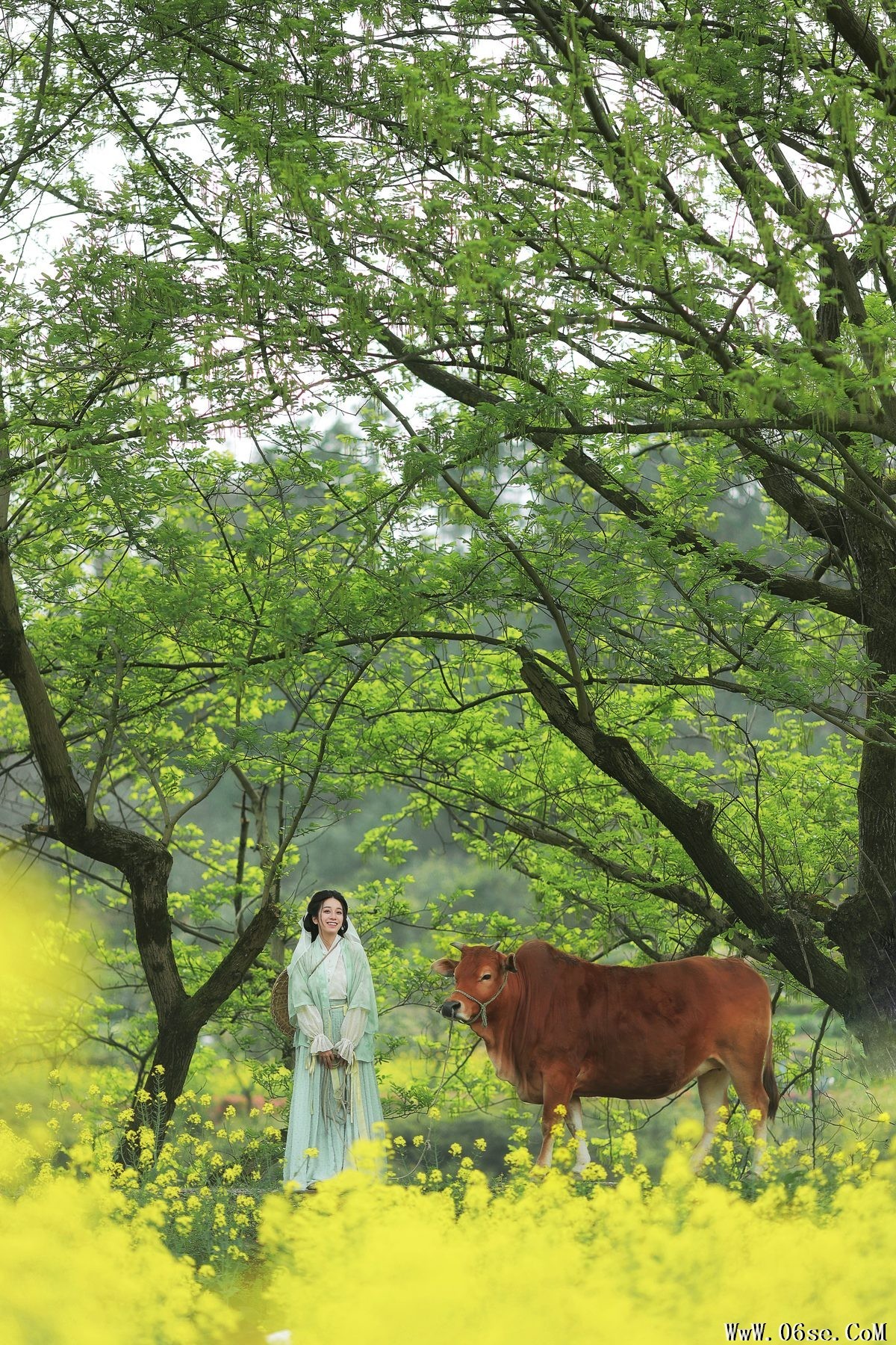 图片[13]-YiTuYu艺图语 Vol.3659 Xiao Qing Han Ya[23P]-六色网