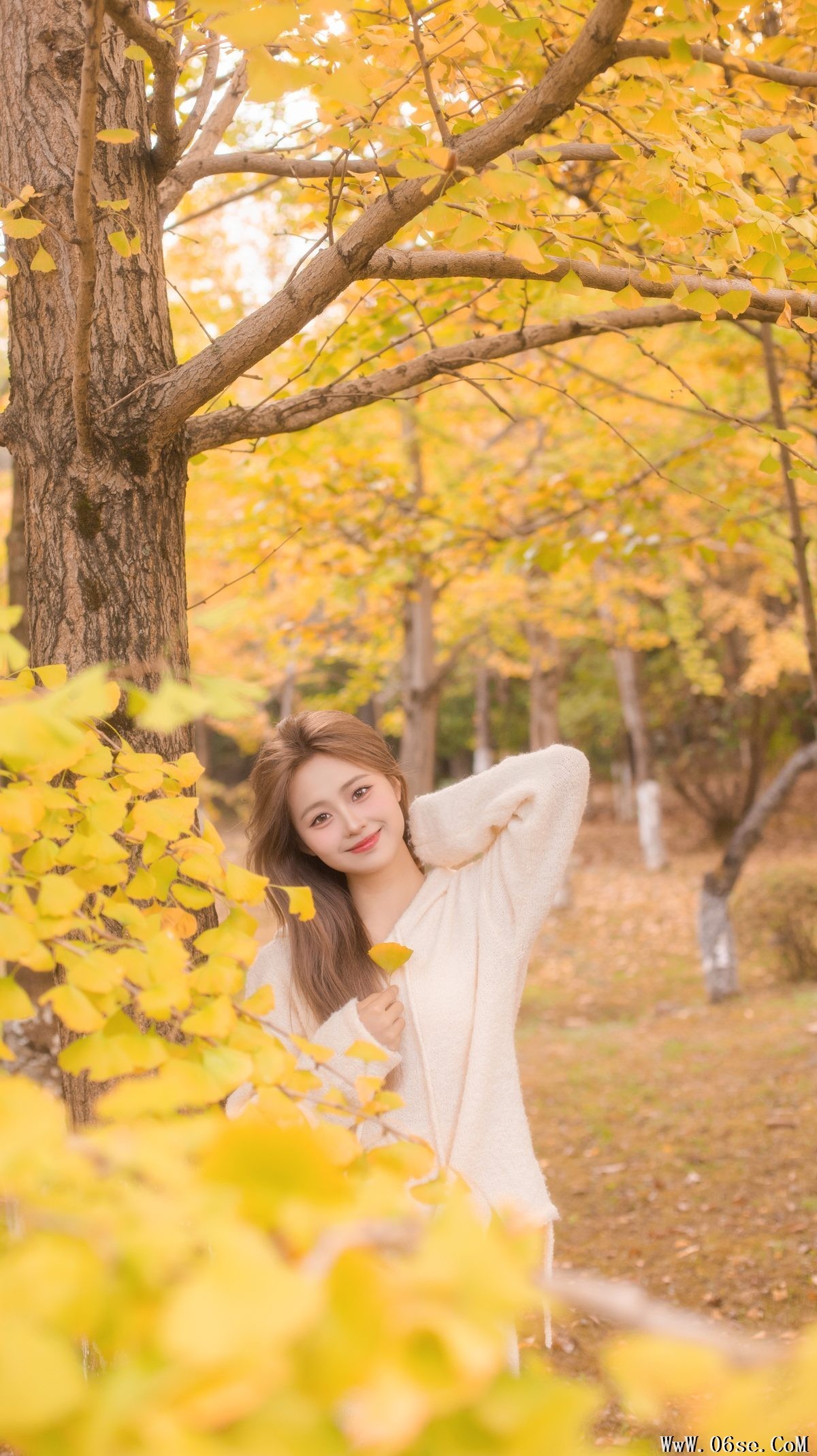 图片[16]-YiTuYu艺图语 Vol.5840 Gao Li Dai[34P]-六色网