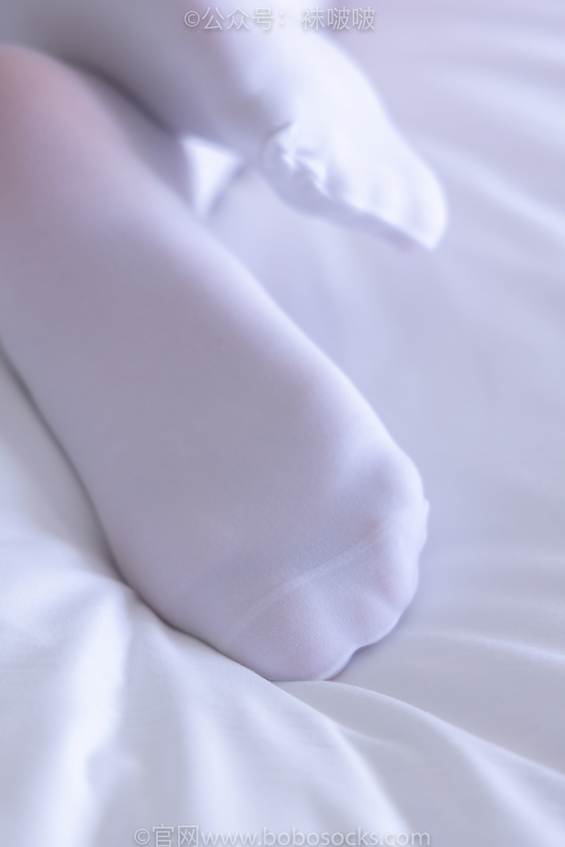 图片[67]-BoBoSocks袜啵啵 No.079 砂糖-皮鞋、厚白丝[140P]-六色网
