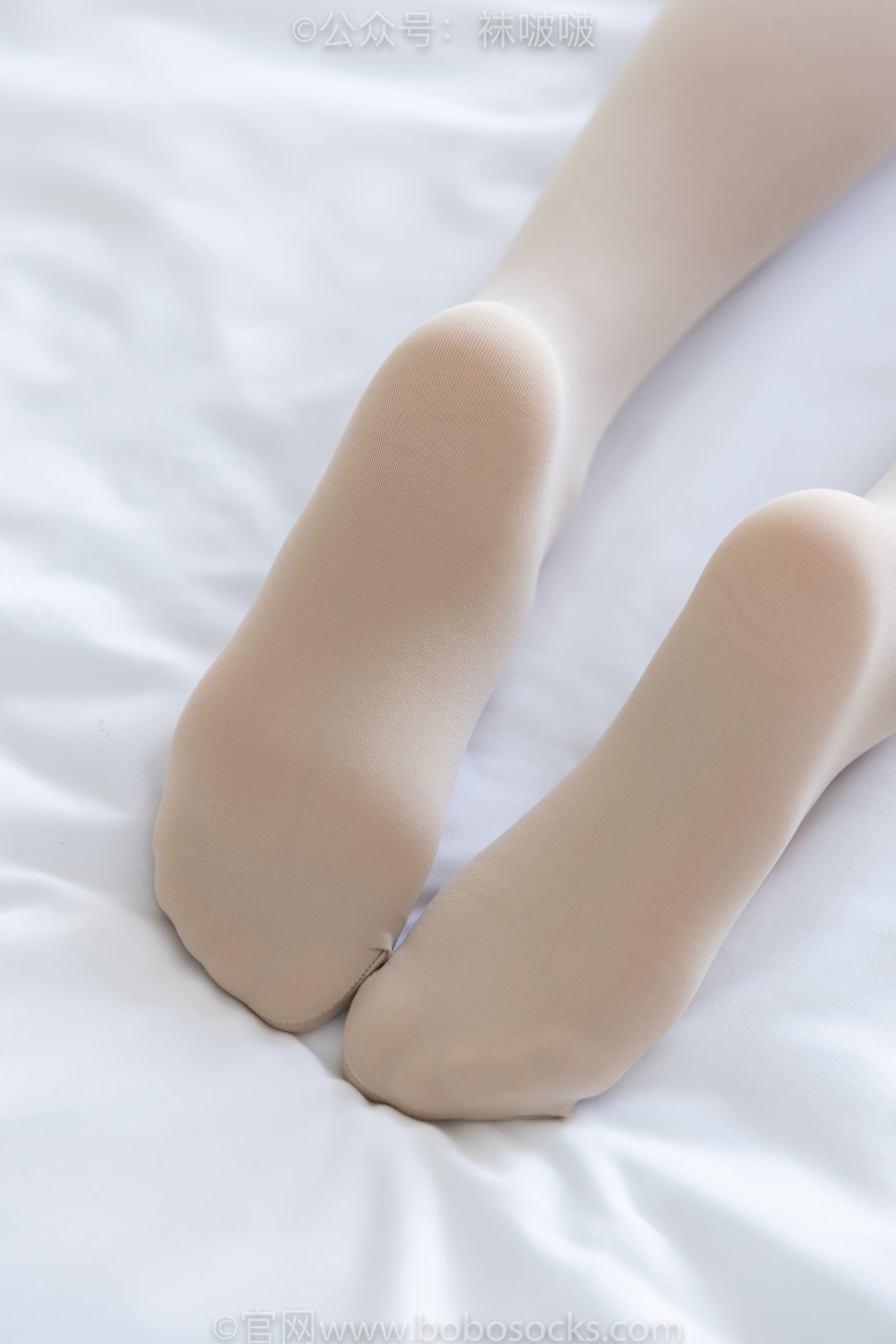 图片[116]-BoBoSocks袜啵啵 No.031 小奶熊-AJ板鞋、白棉袜、厚肉丝[148P]-六色网