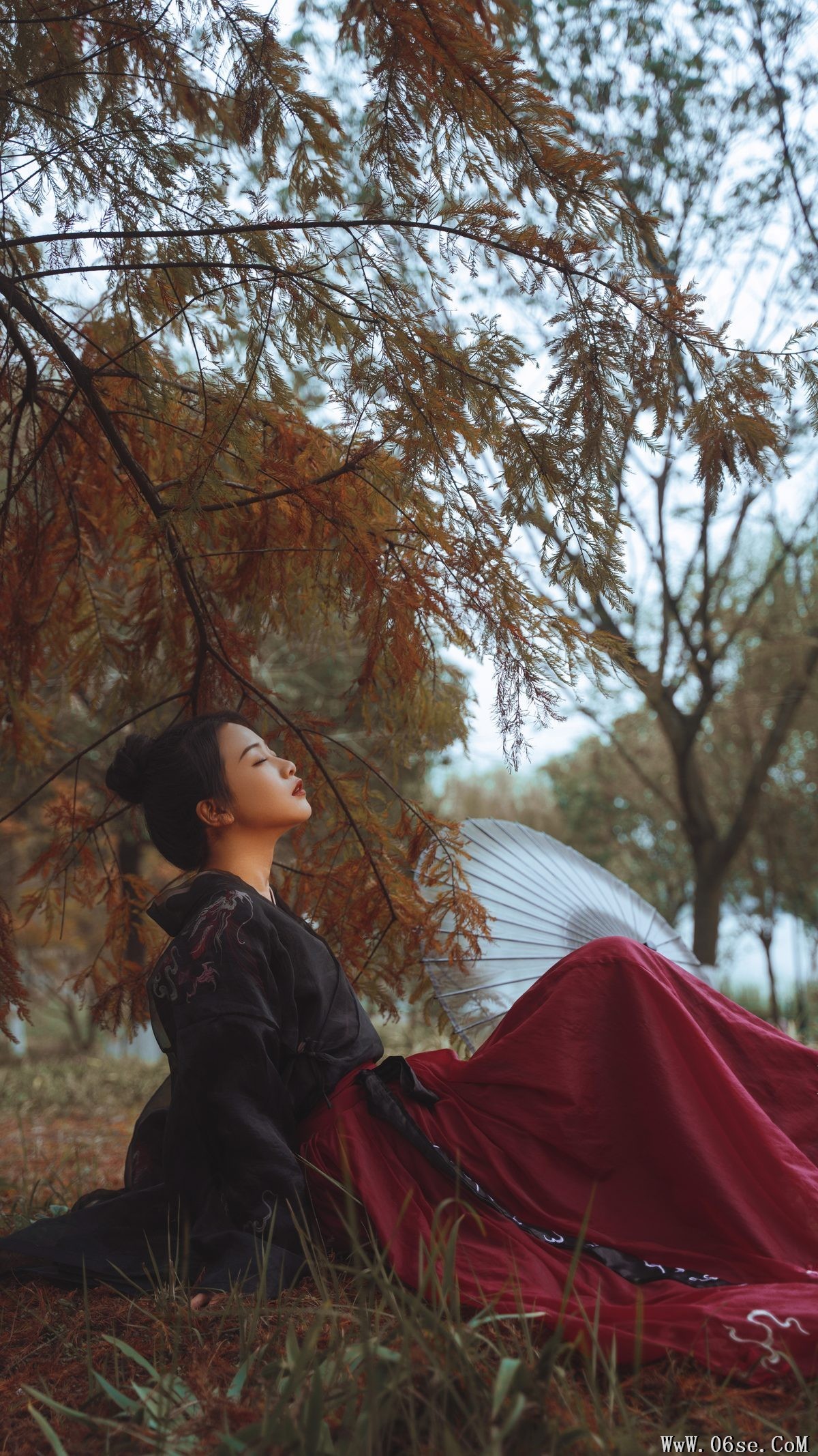 图片[17]-YiTuYu艺图语 Vol.3402 Wang Wang Xiao Xiao Shu[30P]-六色网