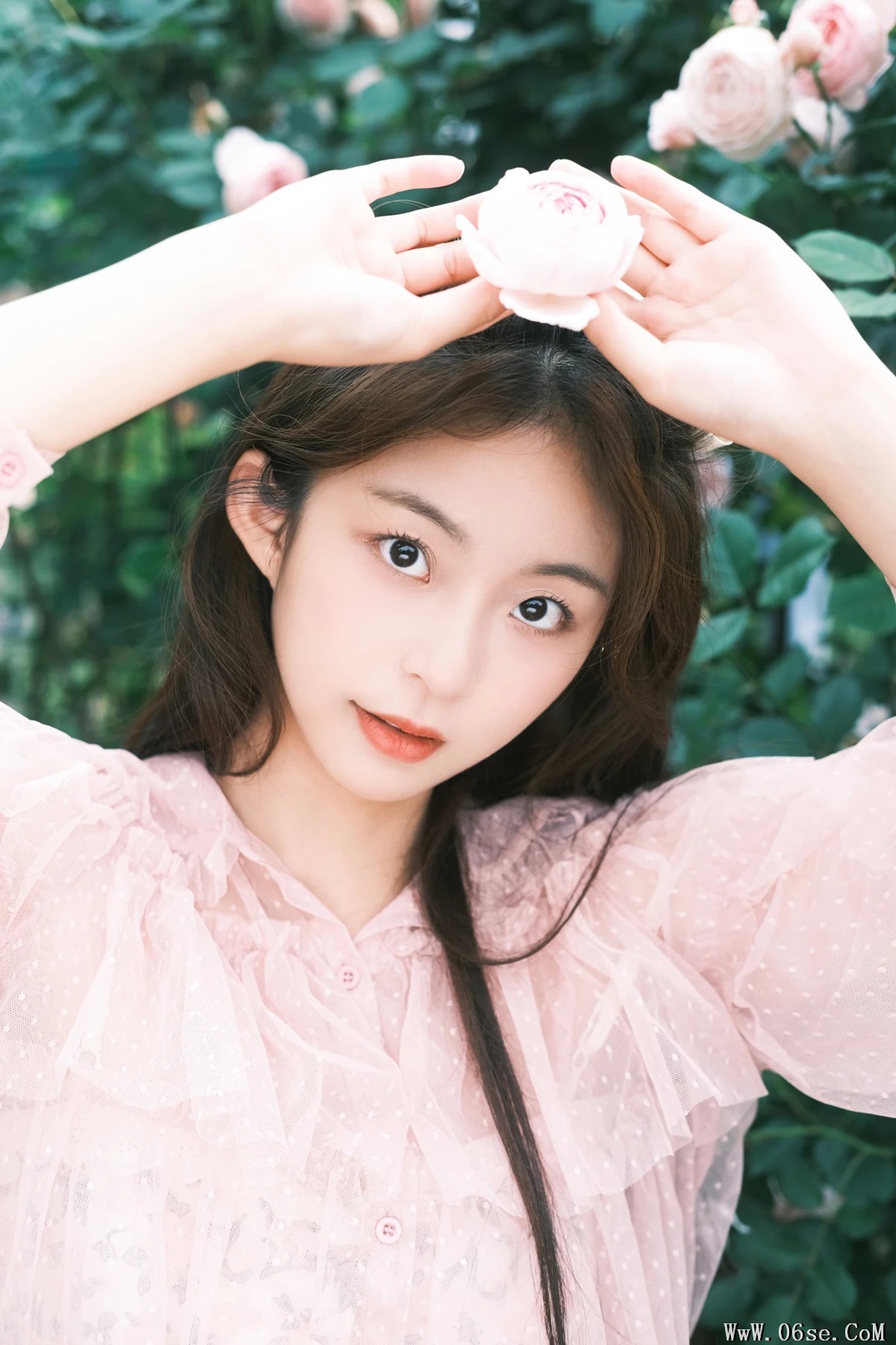 图片[13]-[艺图语]2024.06.28 Vol.3082 – 蔷薇舞曲 [23P]-六色网