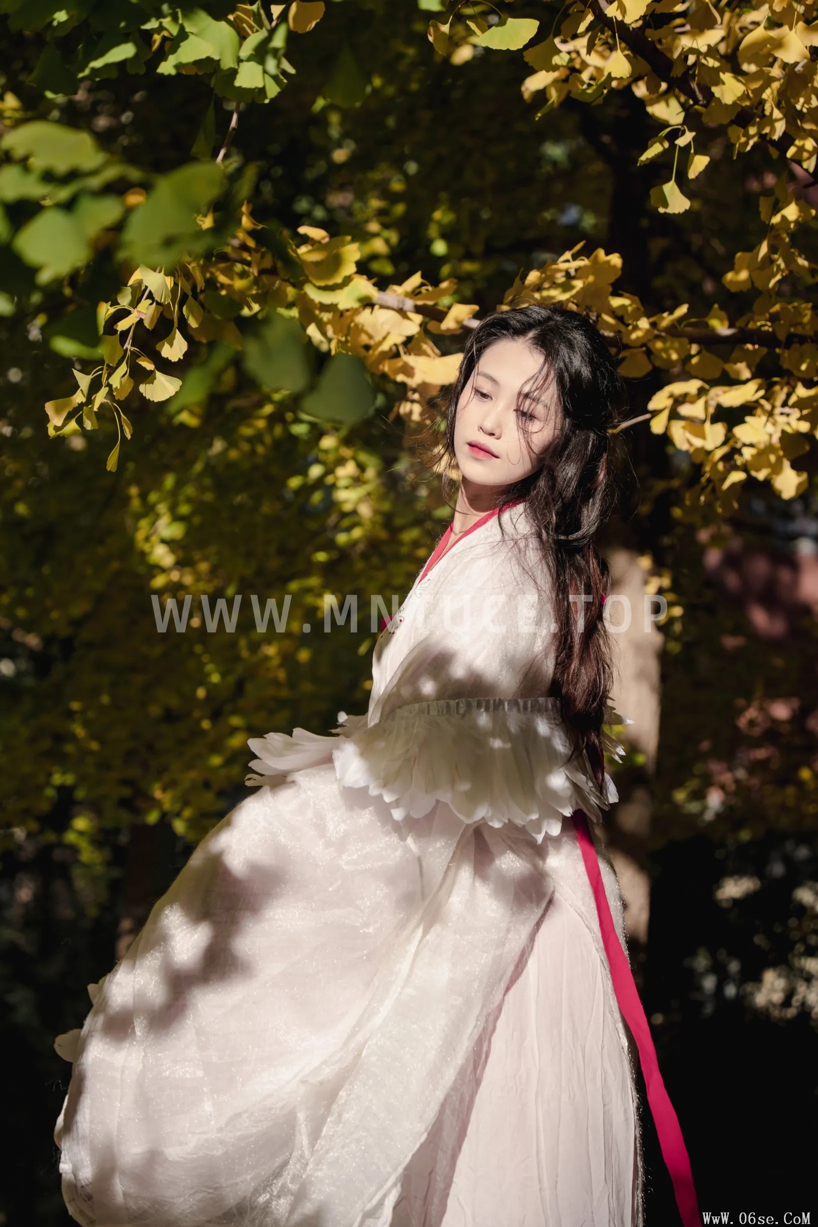 图片[25]-[艺图语]2022.11.30 Vol.2568 – 银杏 [26P]-六色网
