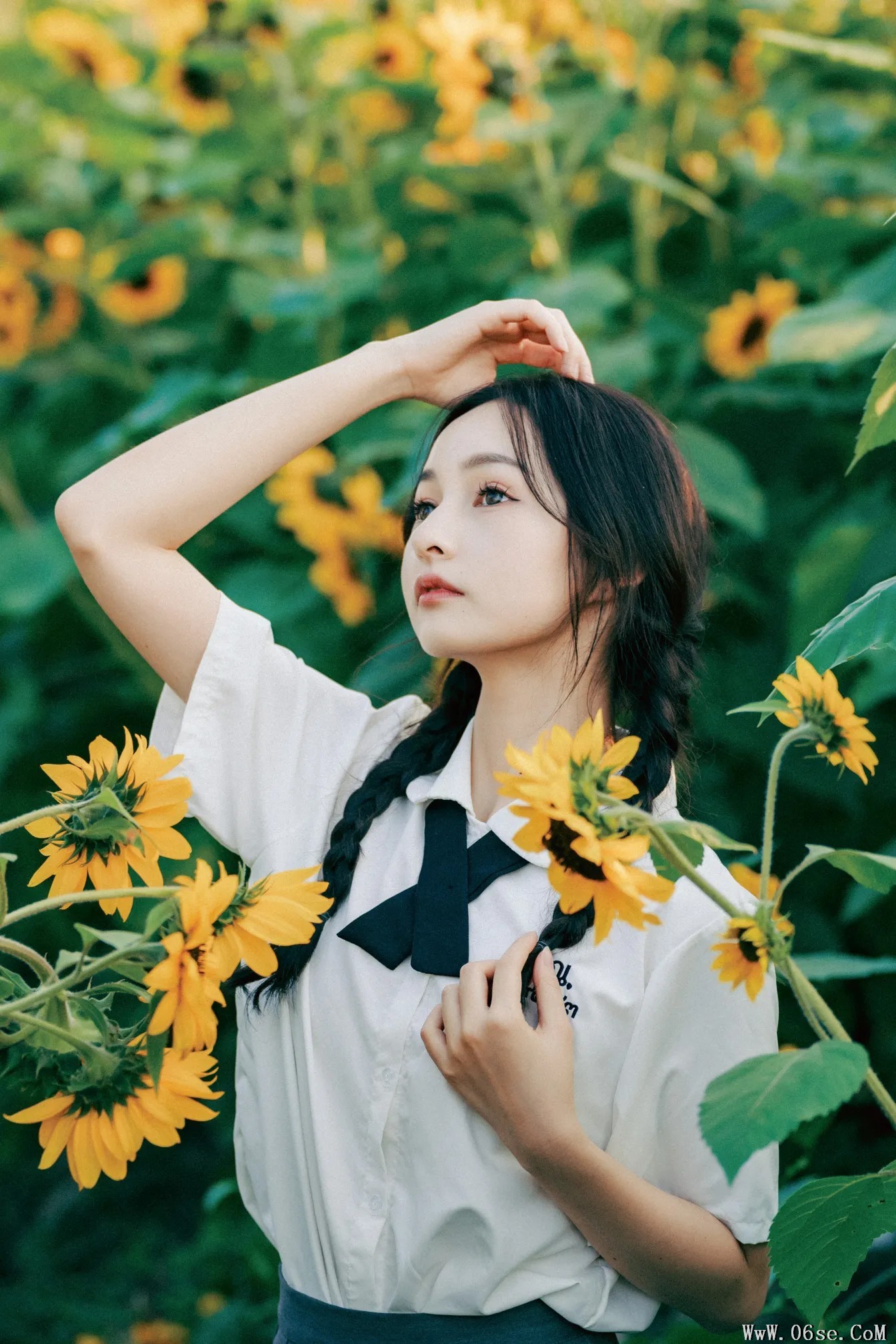 图片[11]-[艺图语]2022.12.07 Vol.2621 – 向日葵的秋天 [22P]-六色网