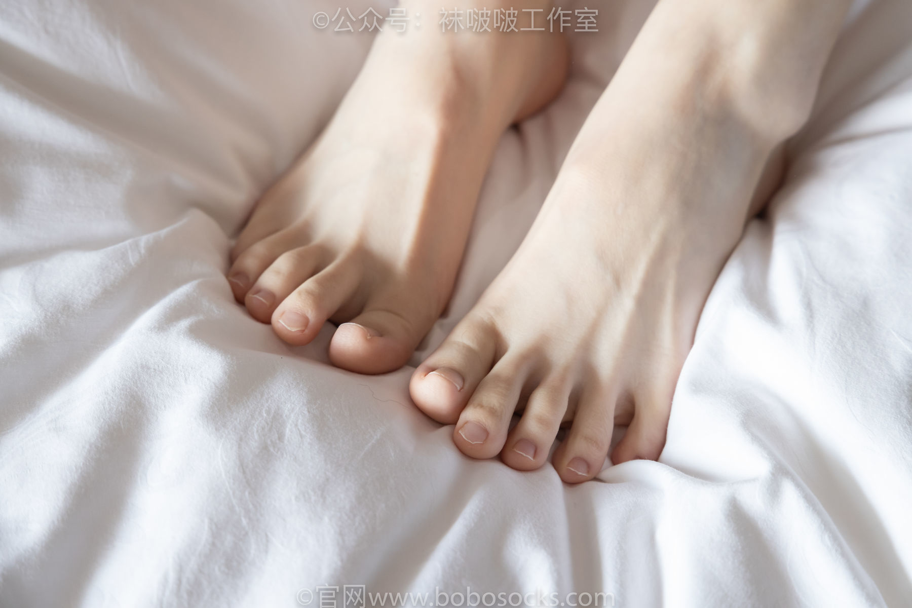 图片[99]-BoBoSocks袜啵啵 积分限定作品007 熊熊-运动鞋、白棉袜、裸足[134P]-六色网