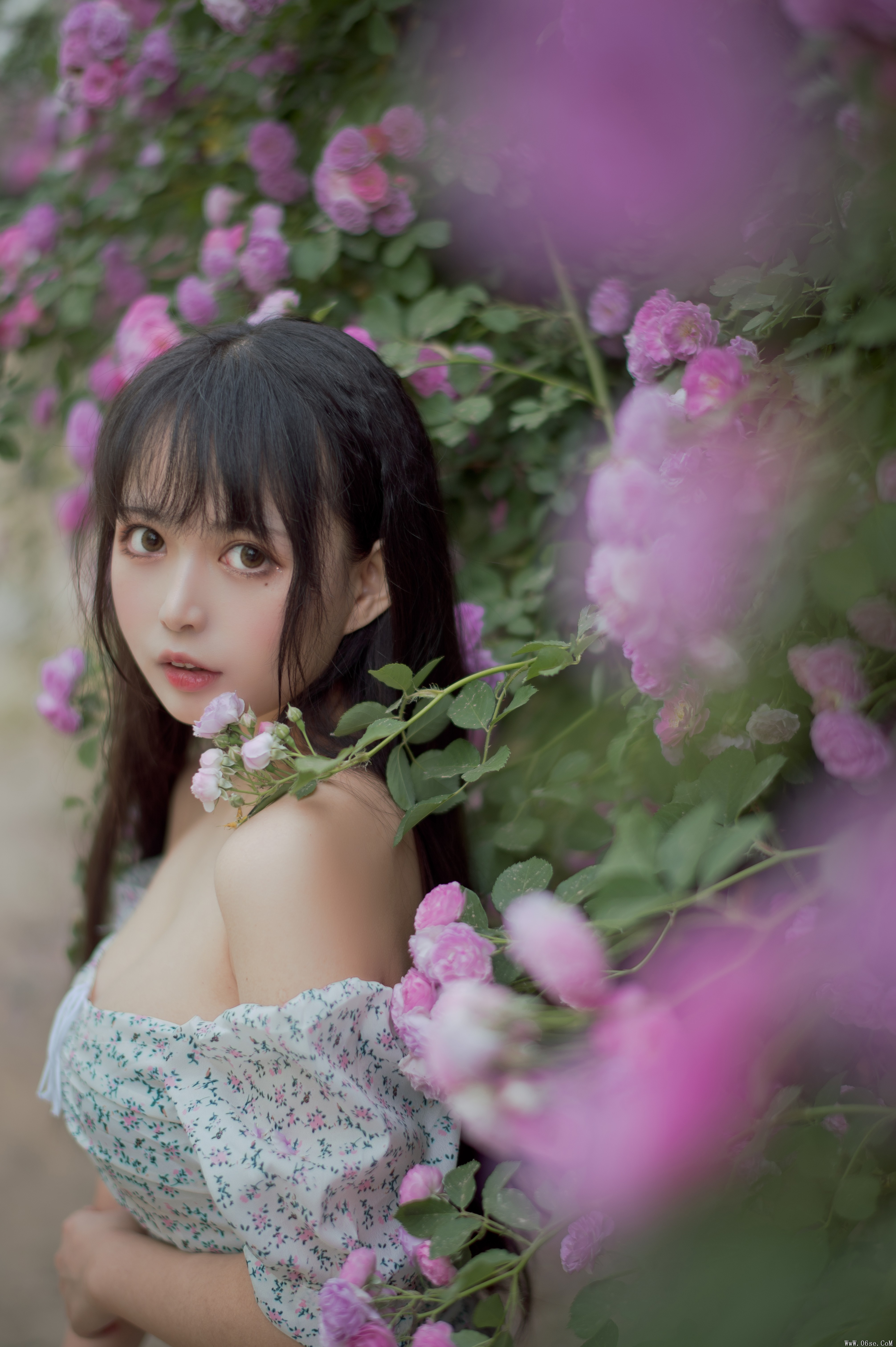 图片[20]-喵糖映画 VOL.338 蔷薇少女[24P／257MB]-六色网