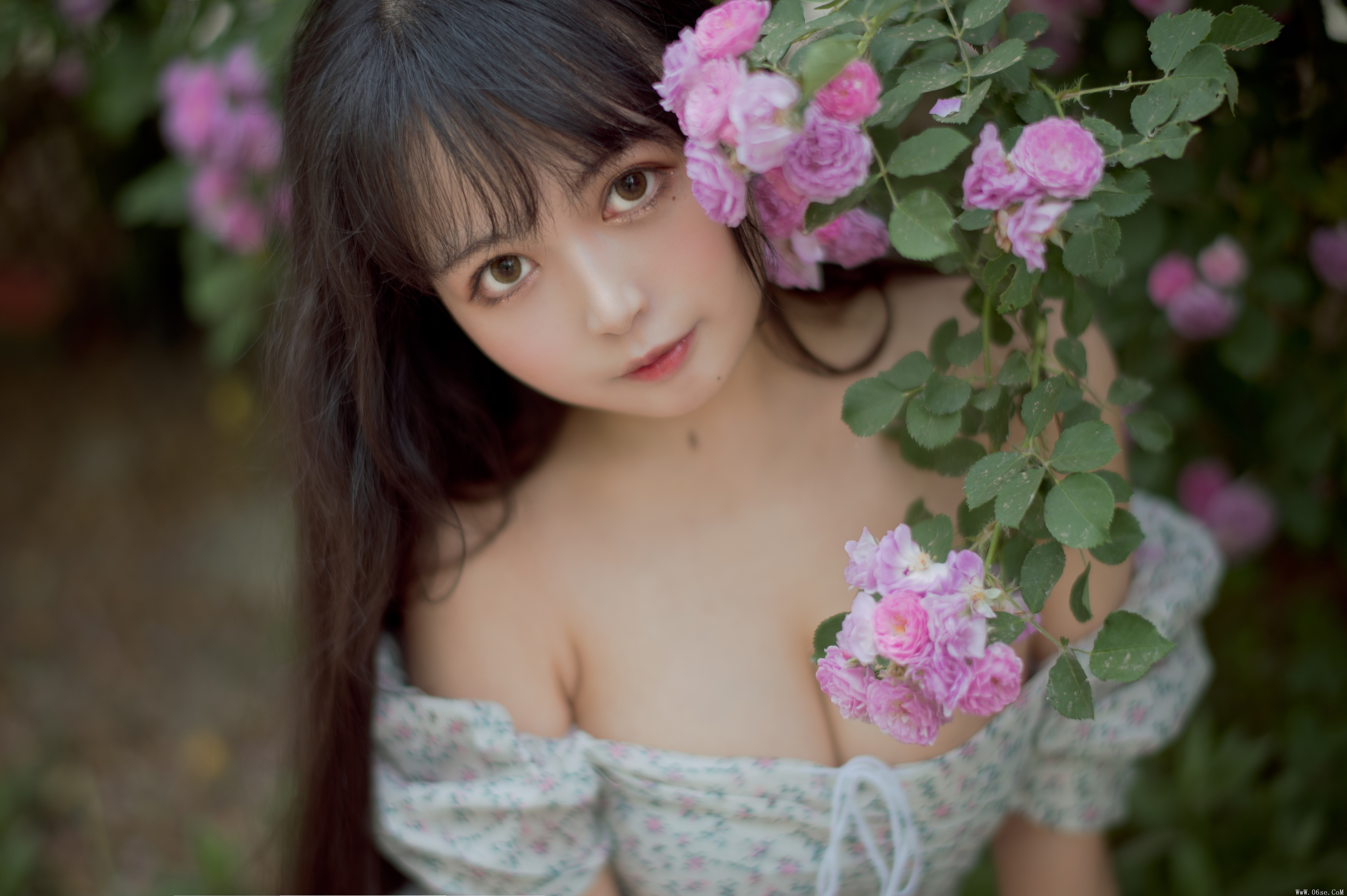 图片[5]-喵糖映画 VOL.338 蔷薇少女[24P／257MB]-六色网