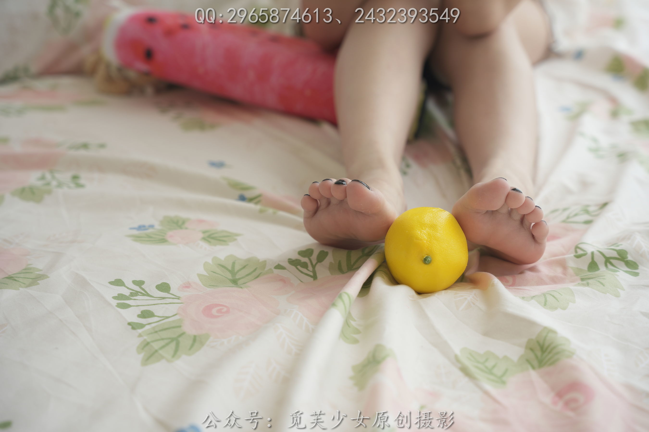 图片[103]-[觅芙少女] NO.040 仔仔 – 所幸有光，总会相逢[130P]-六色网