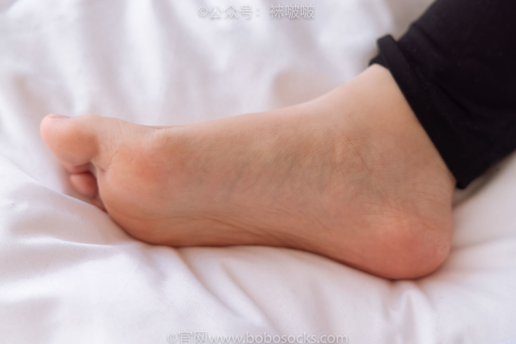 图片[87]-BoBoSocks袜啵啵 No.059 砂糖-AJ板鞋、白棉袜、裸足[142P]-六色网