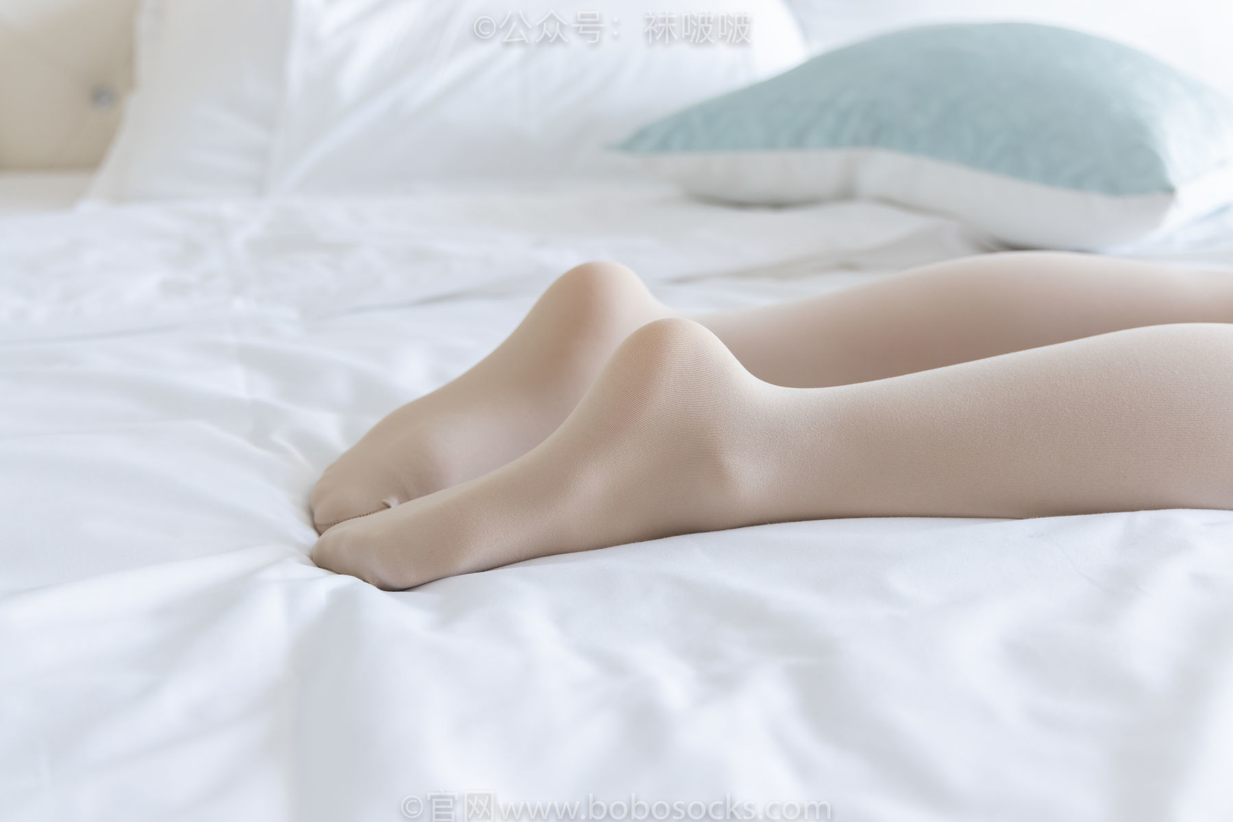 图片[114]-BoBoSocks袜啵啵 No.031 小奶熊-AJ板鞋、白棉袜、厚肉丝[148P]-六色网