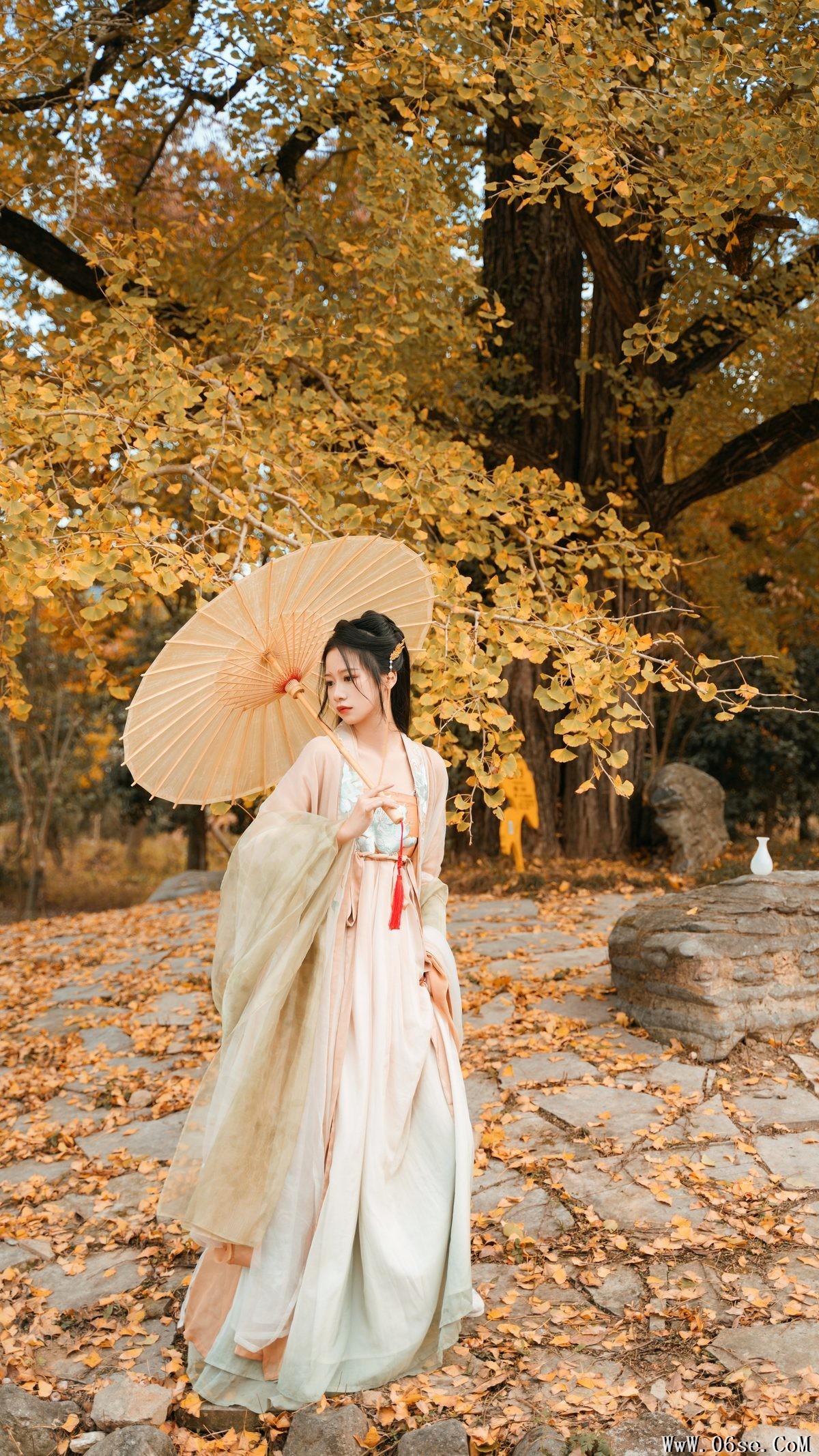图片[23]-YiTuYu艺图语 Vol.3202 Wang Wang Xiao Xiao Shu[39P]-六色网