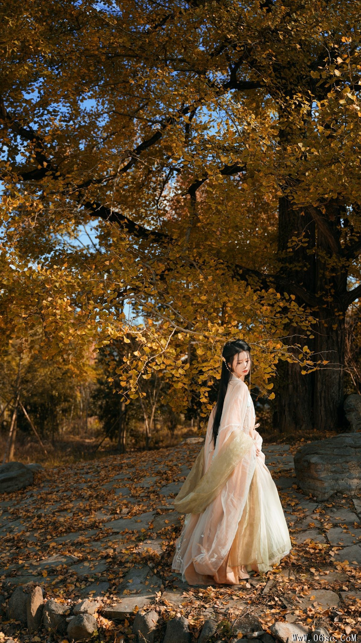 图片[5]-YiTuYu艺图语 Vol.3202 Wang Wang Xiao Xiao Shu[39P]-六色网